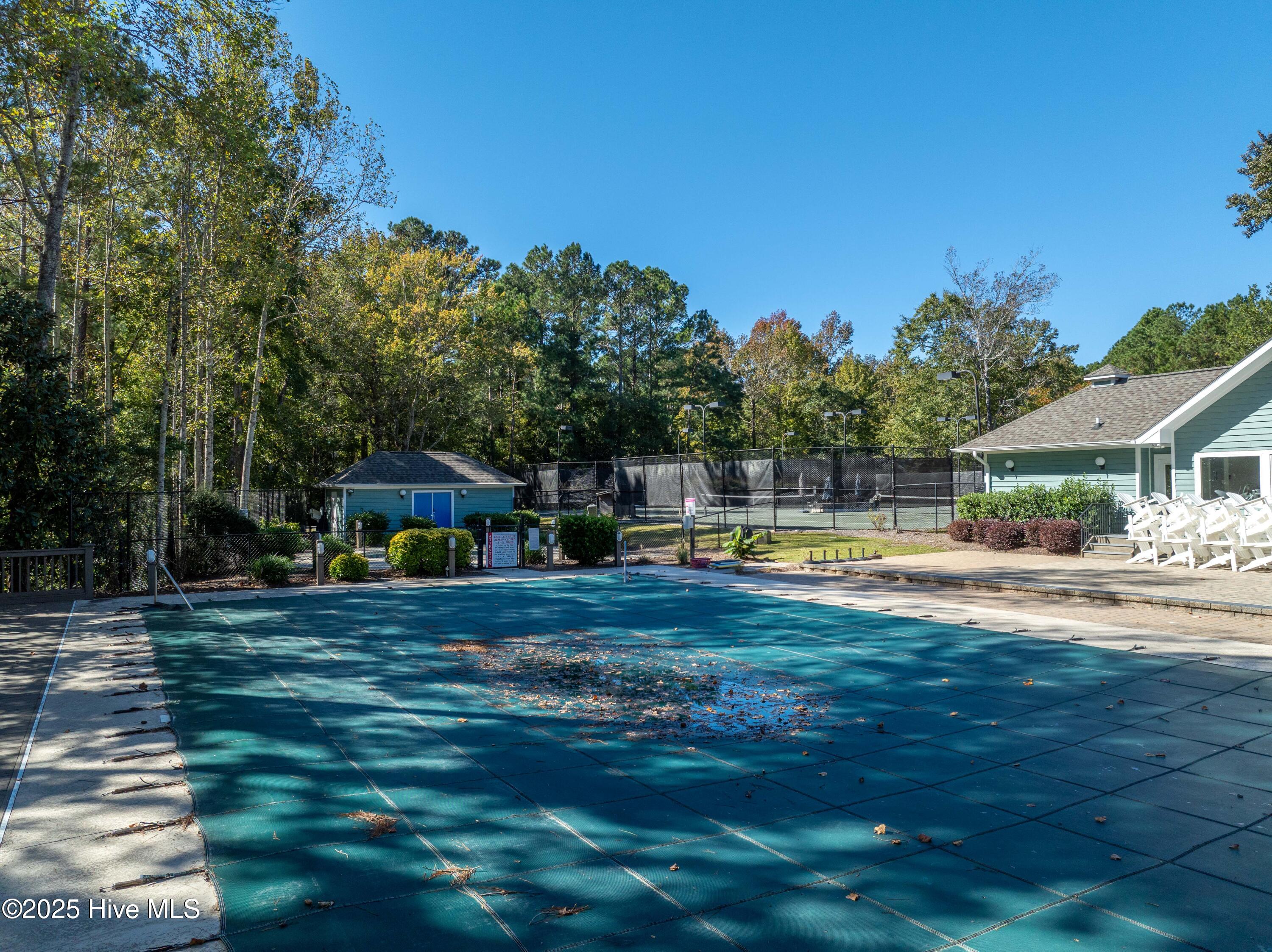 100537657 | Photo 65