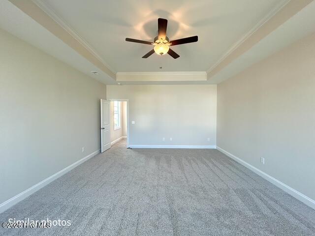 100553886 | Photo 35