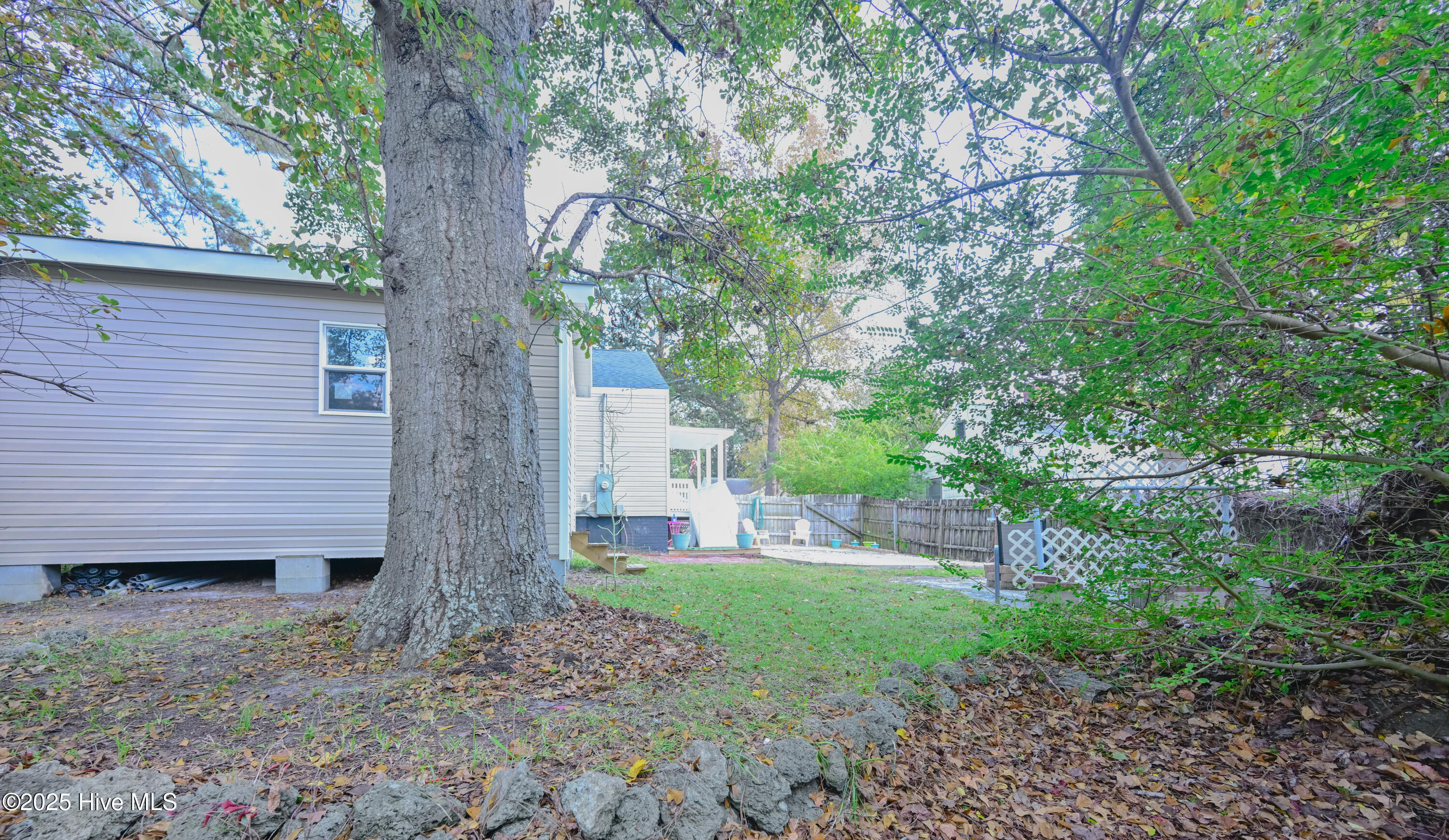 100541616 | Photo 36