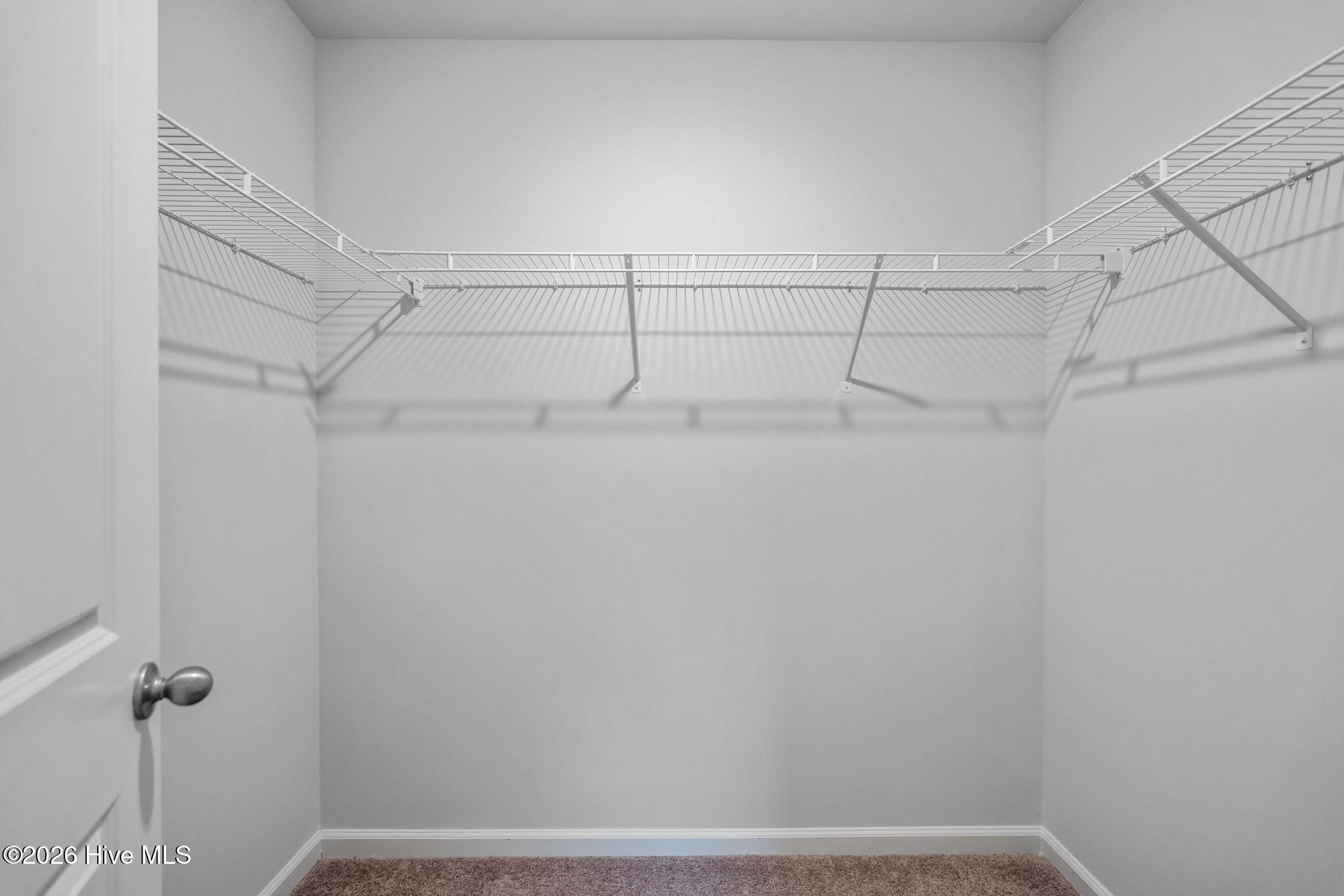 100555354 | Photo 11