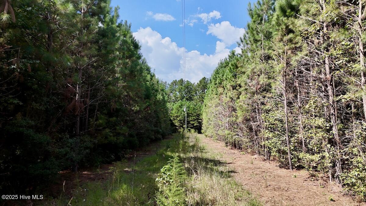 100531803 | Photo 17