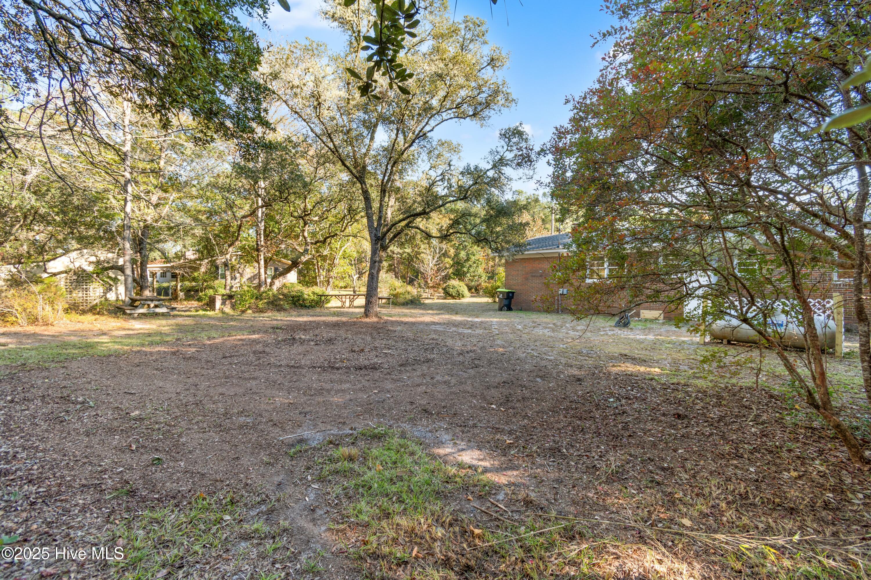 100541488 | Photo 21