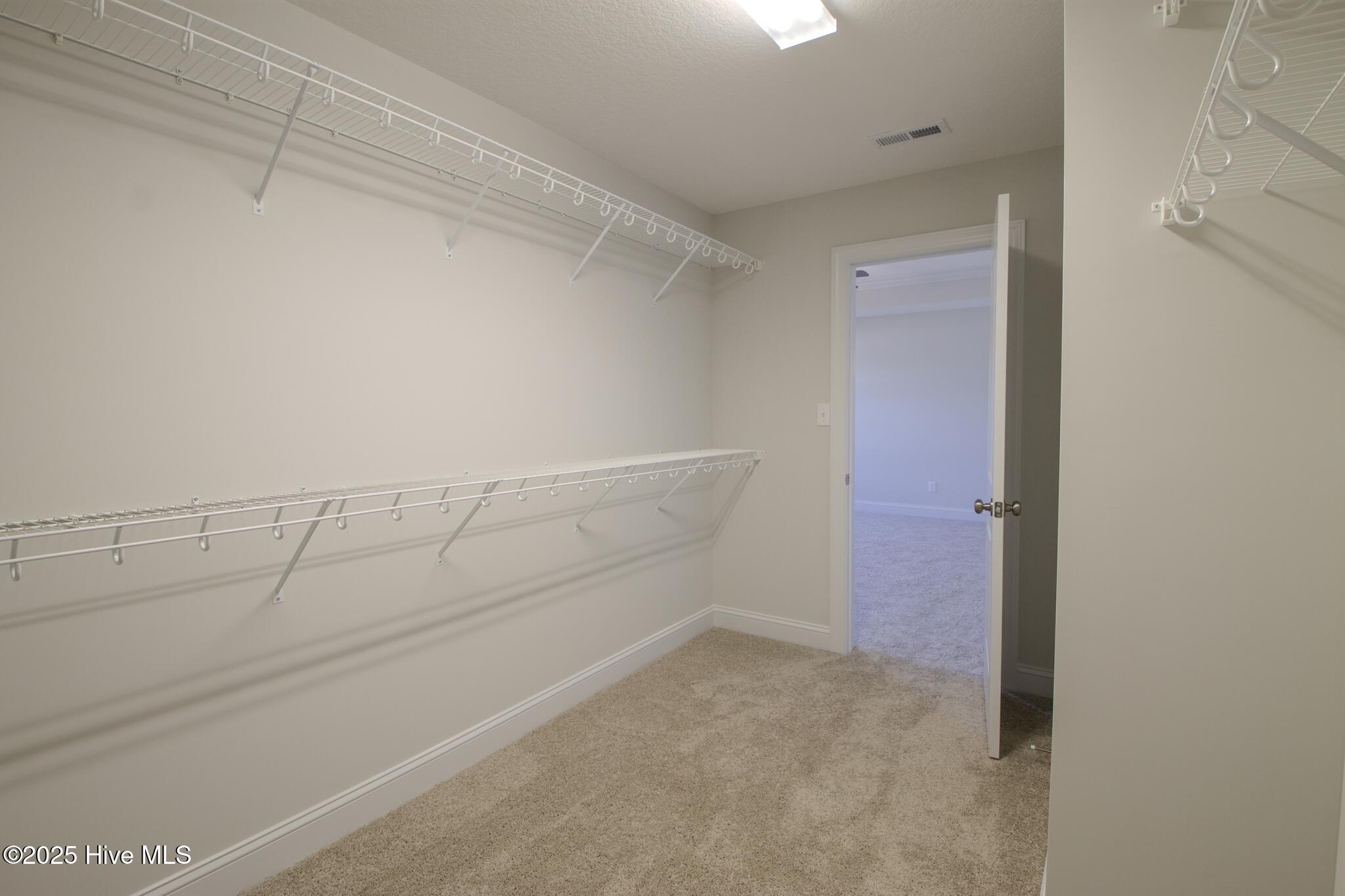 100488921 | Photo 22