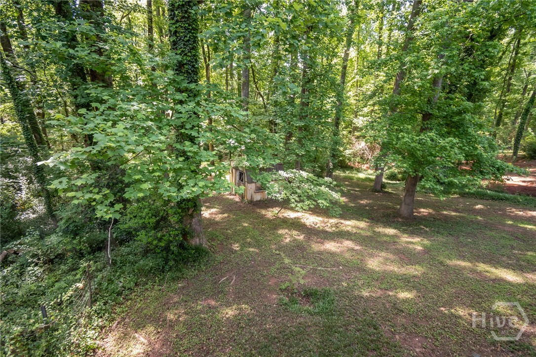 Large backyard