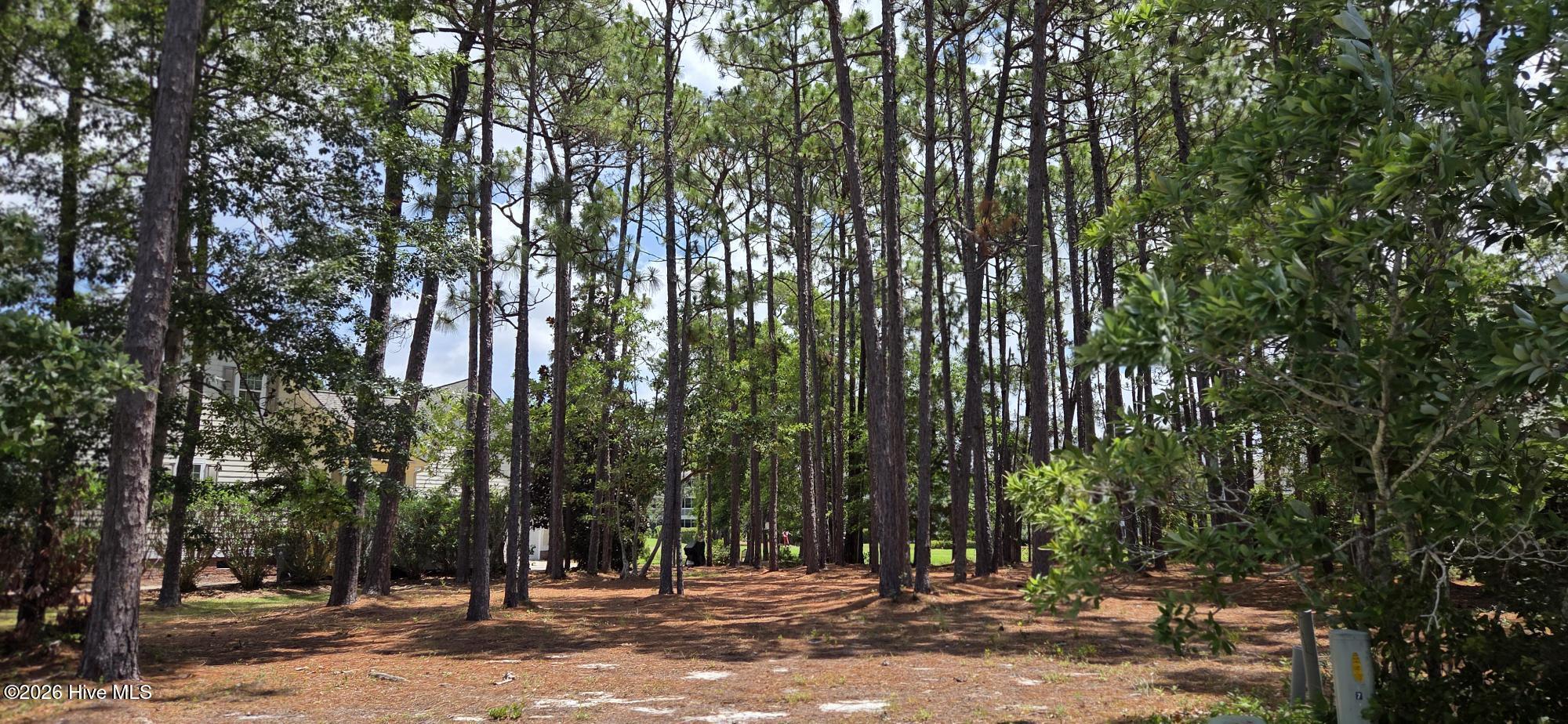 St James Plantation Buildable Land Lots