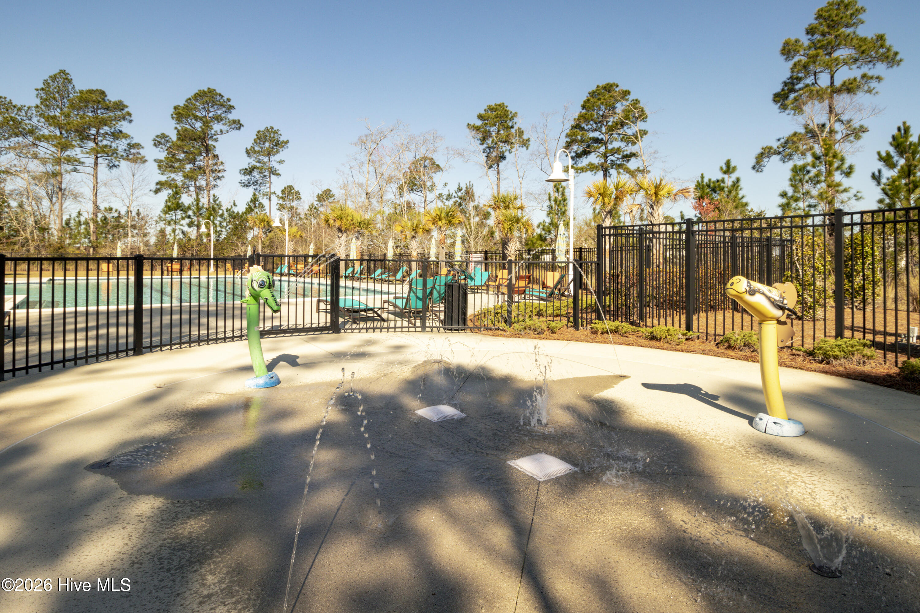 100569553 | Photo 51