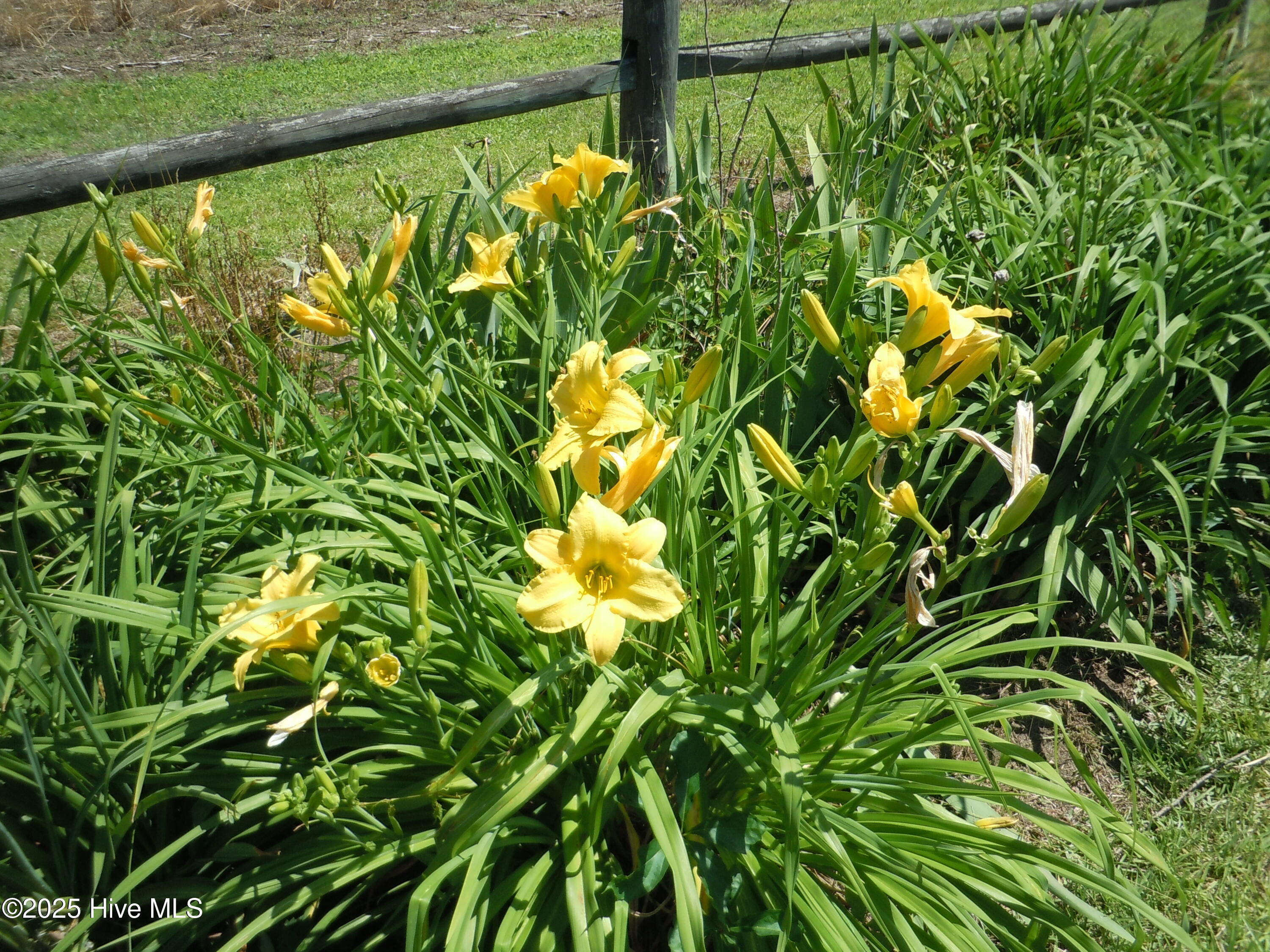 100533053 | Photo 84