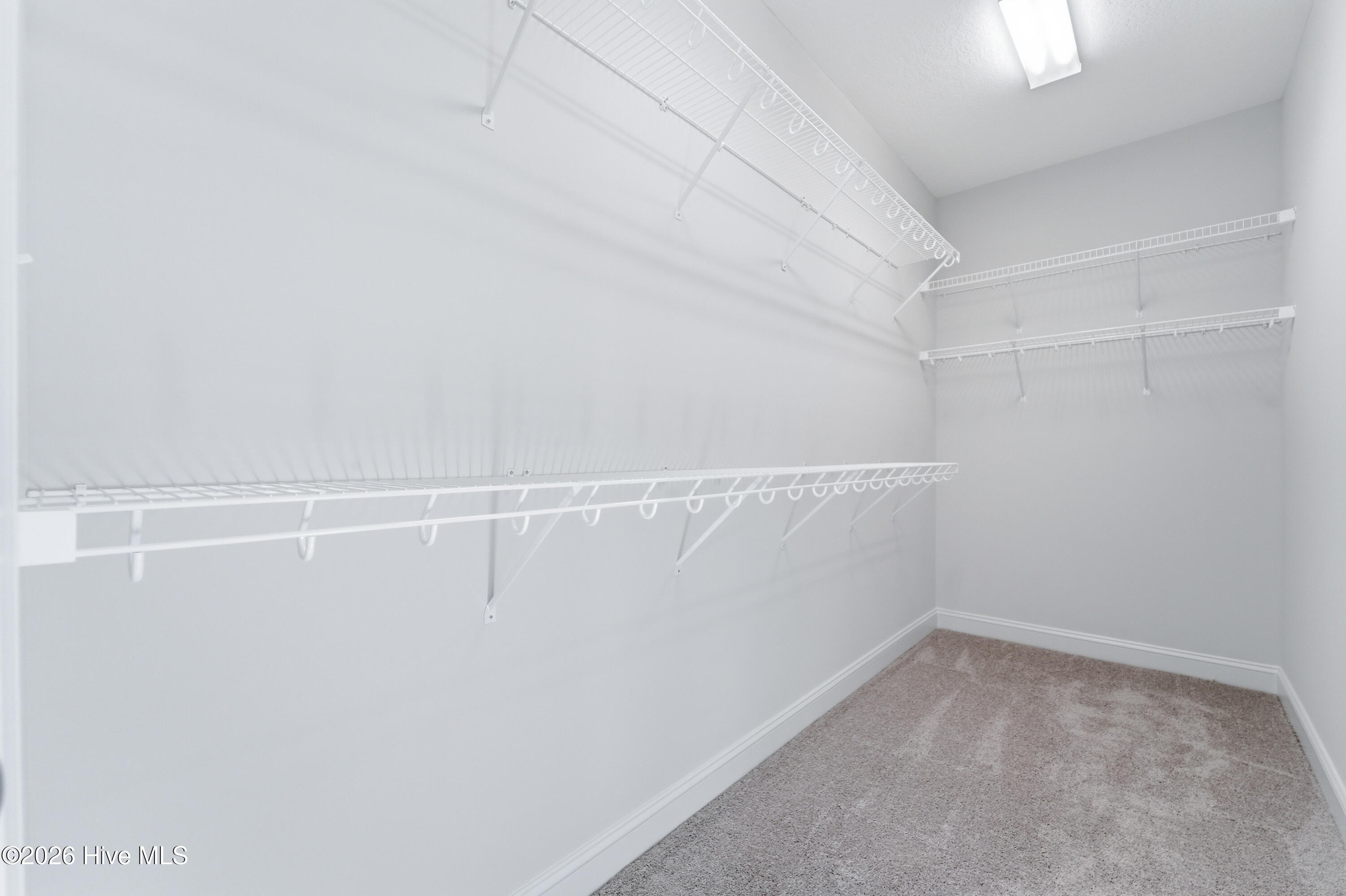 100530742 | Photo 20