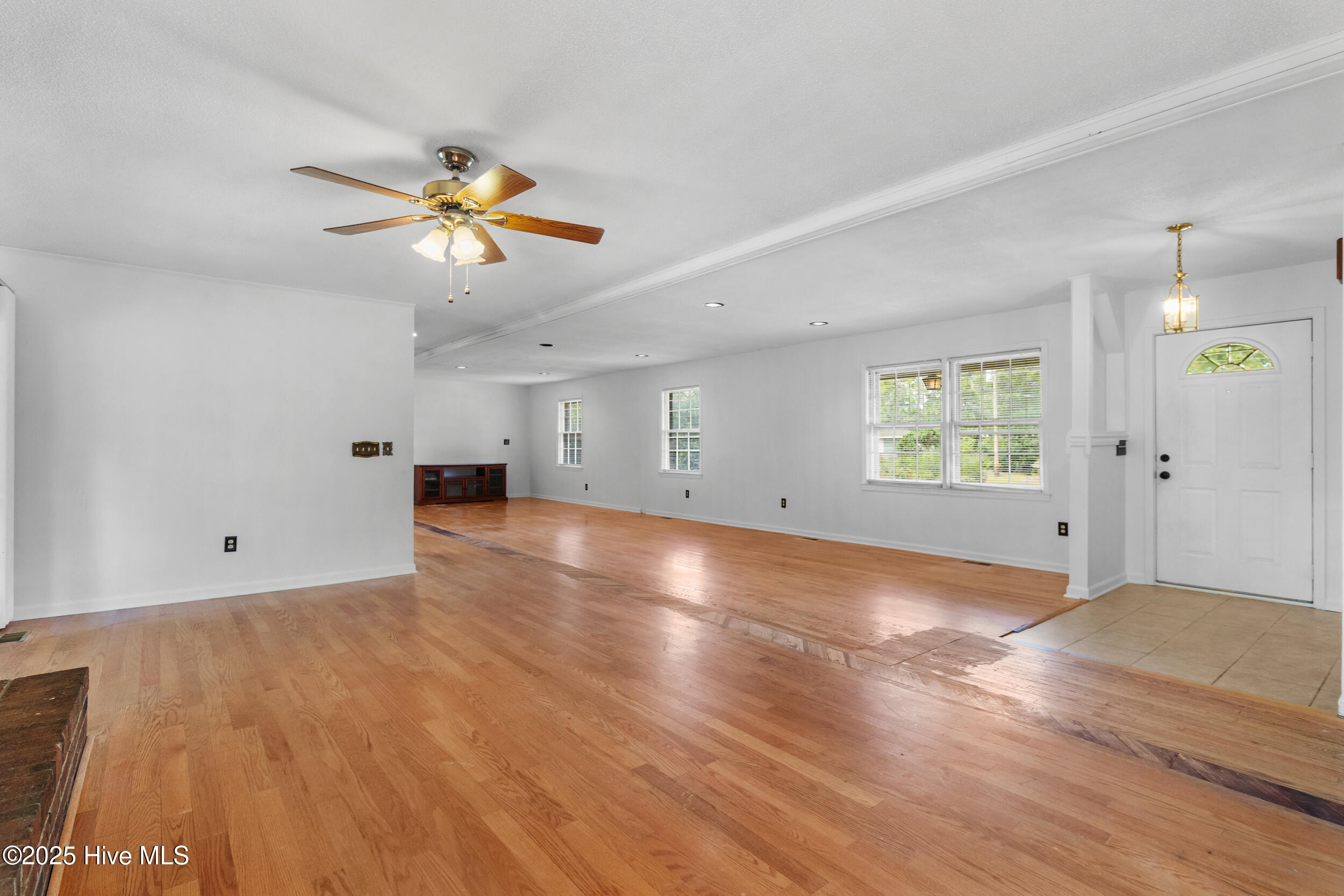 100535296 | Photo 16