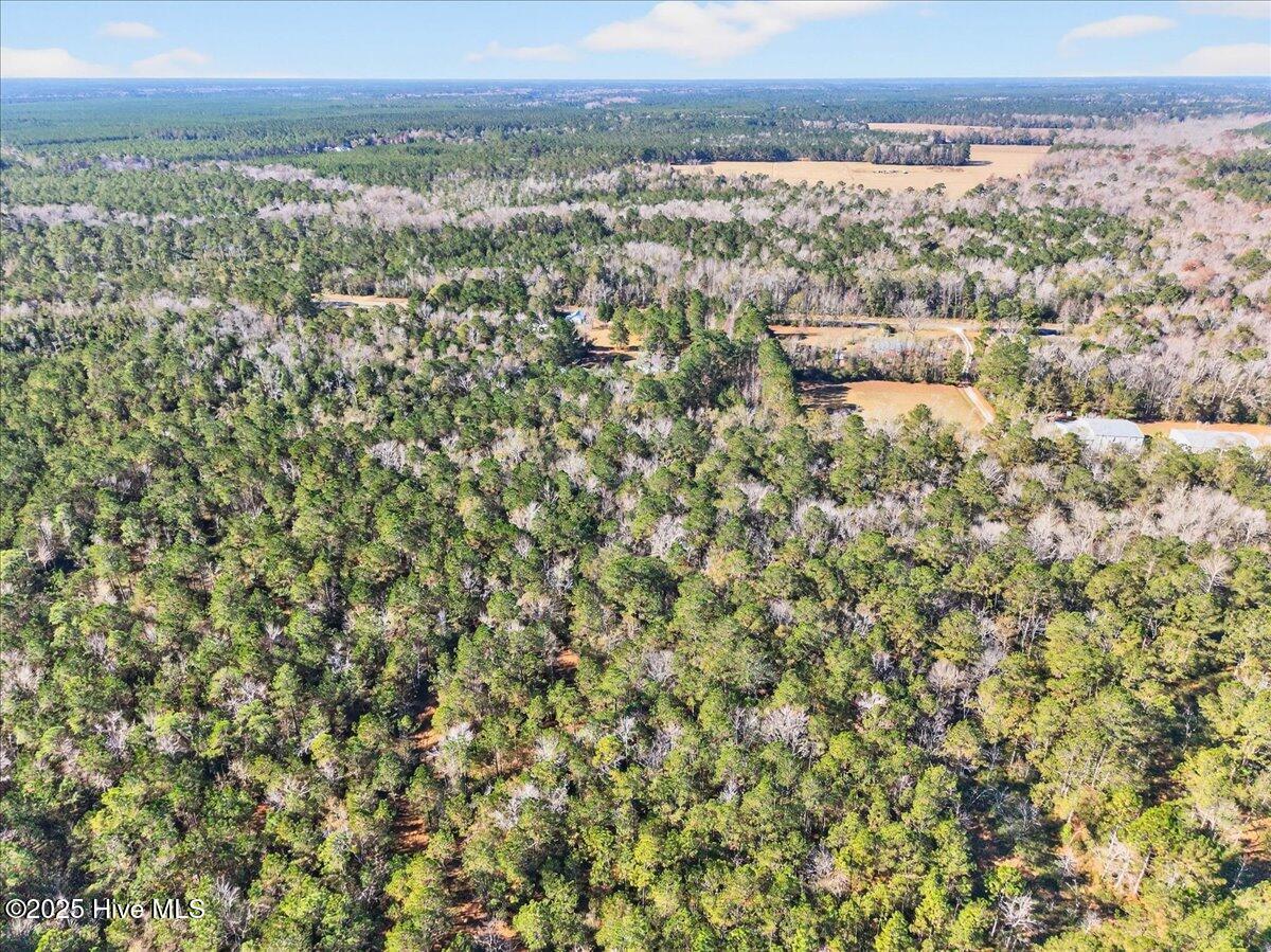 100543475 | Photo 10