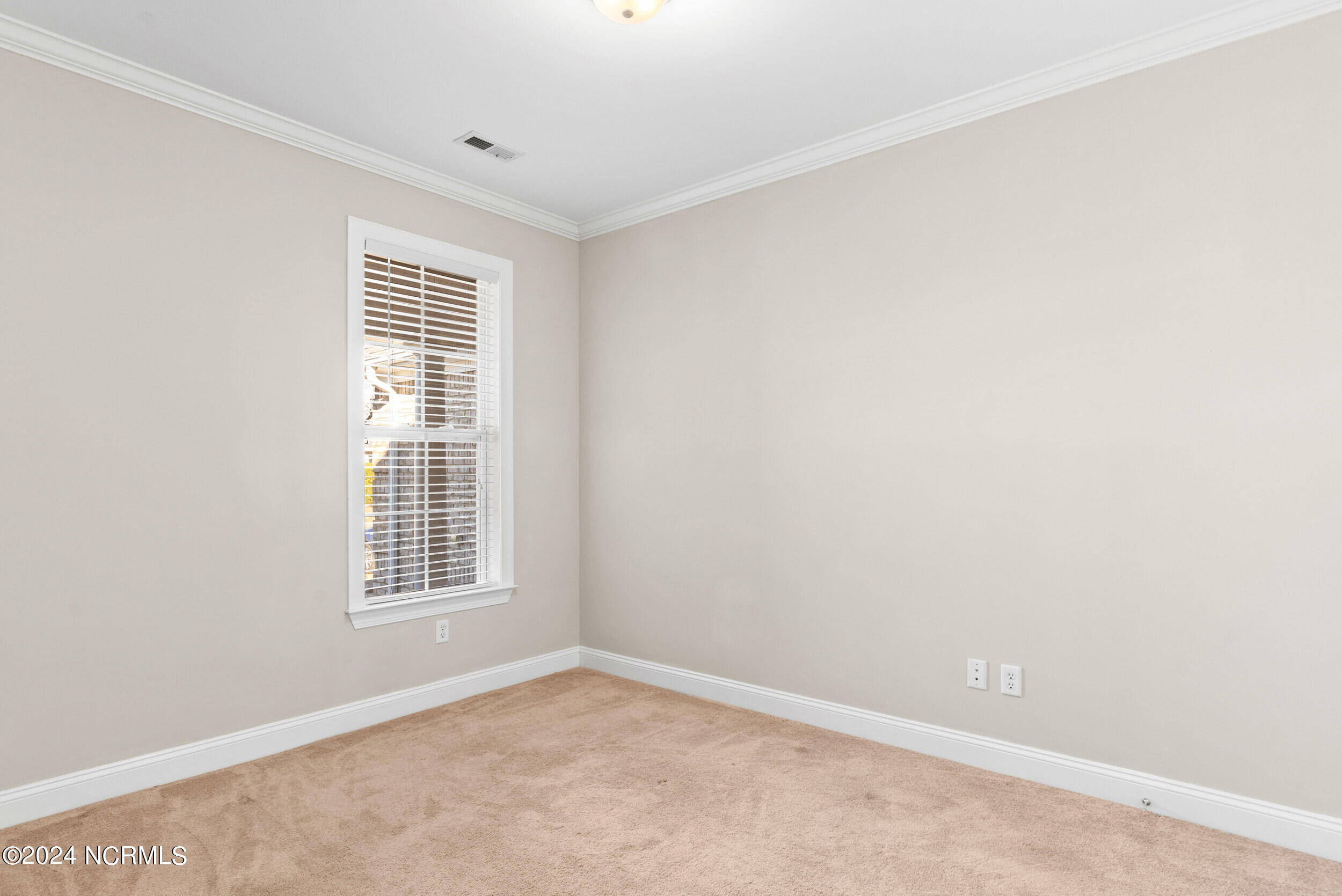 100564899 | Photo 22