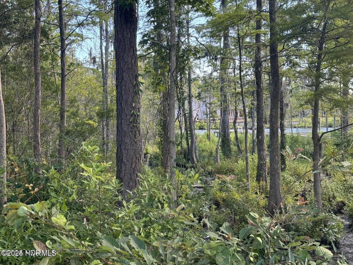 20240703131704627595000000-o