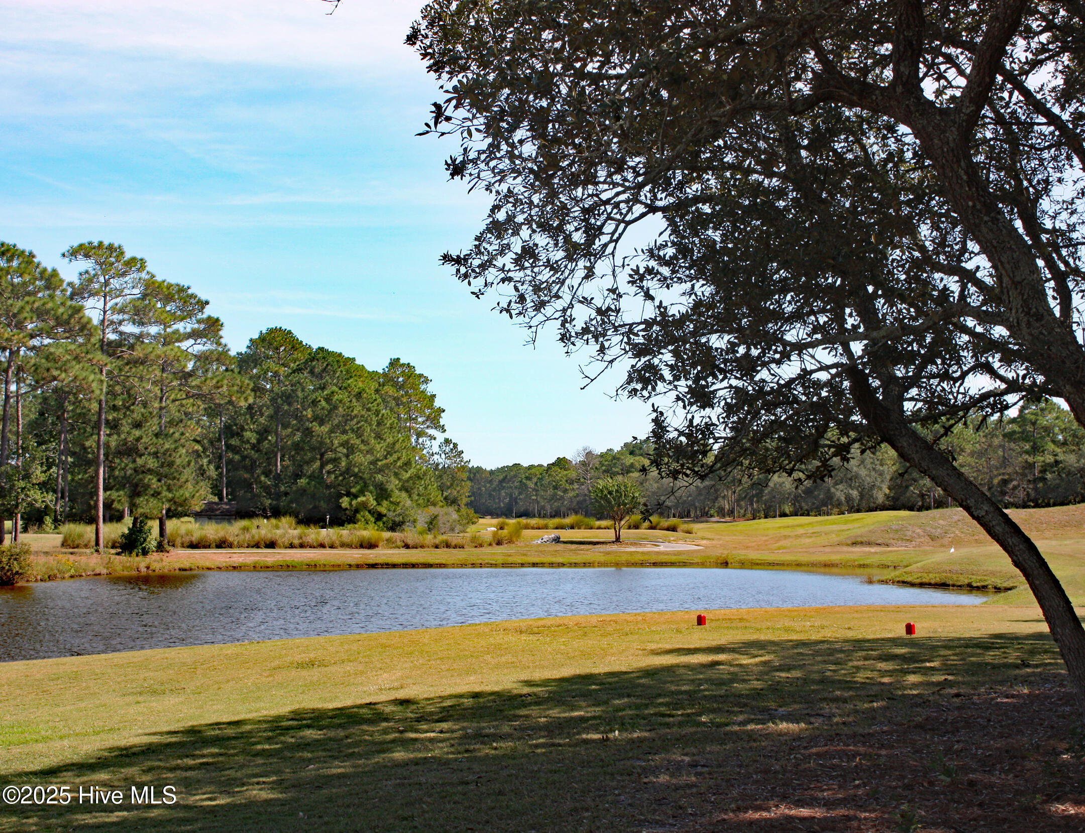 Tiger's Eye Hole 8 Pond