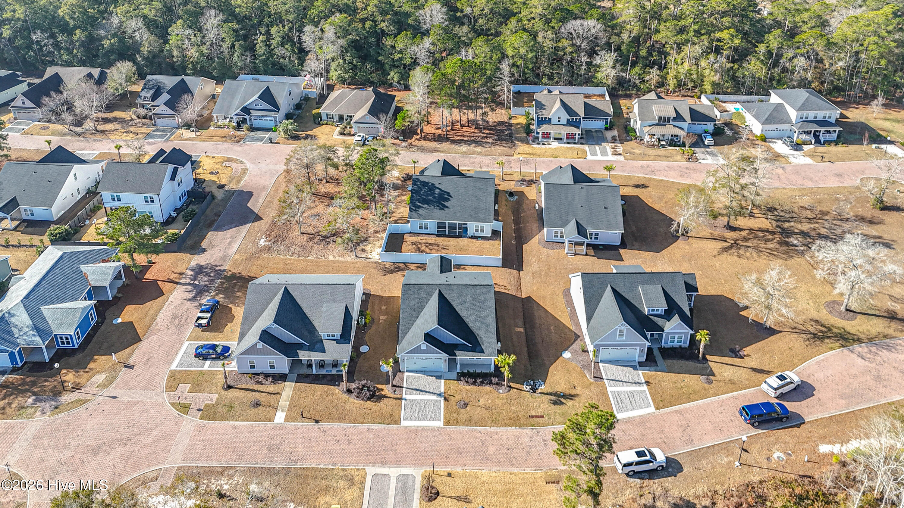 100548241 | Photo 53