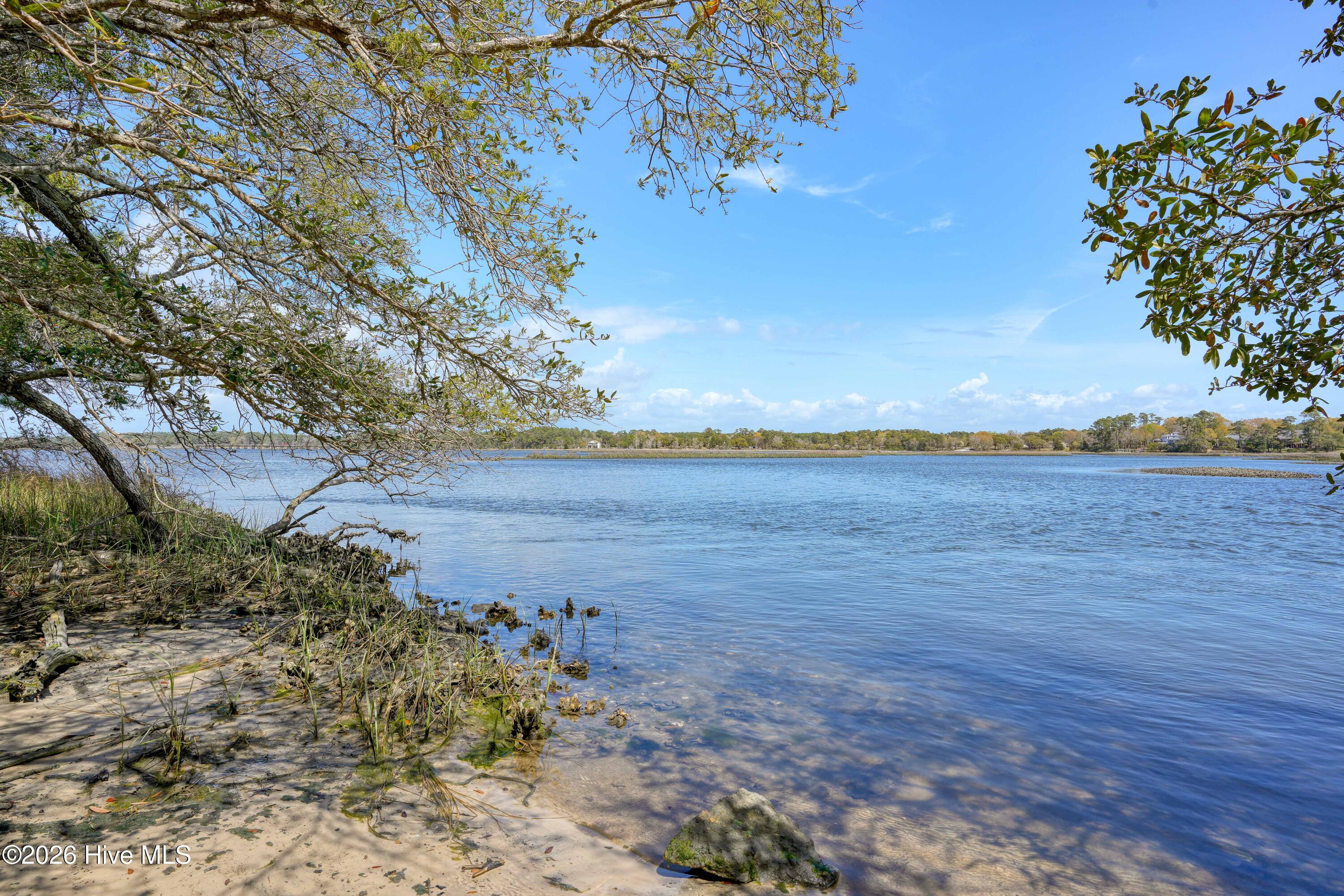 100564032 | Photo 21