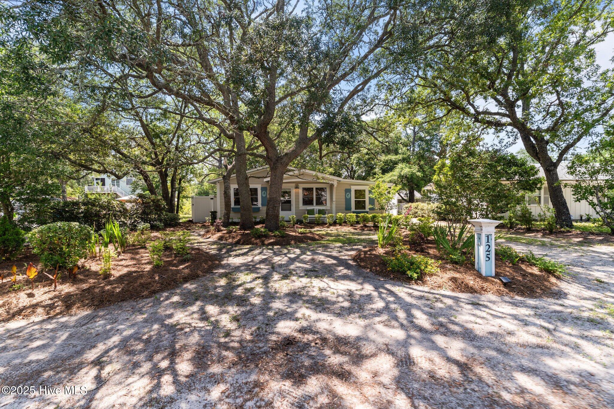 100514497 | Photo 14