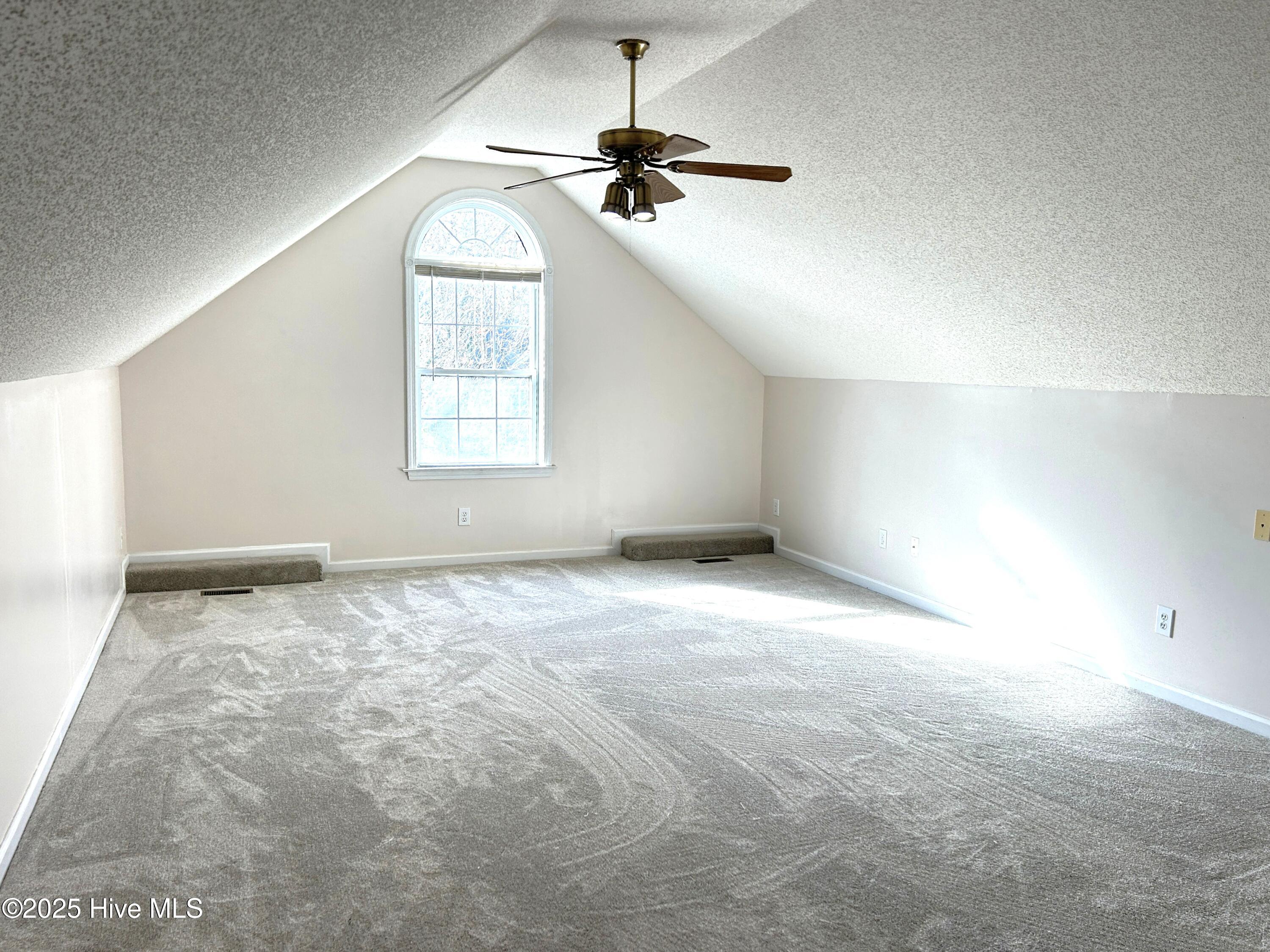 100546134 | Photo 16