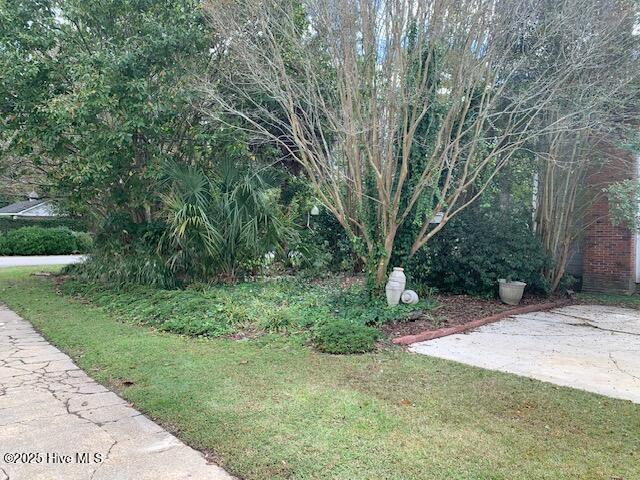 100536293 | Photo 63