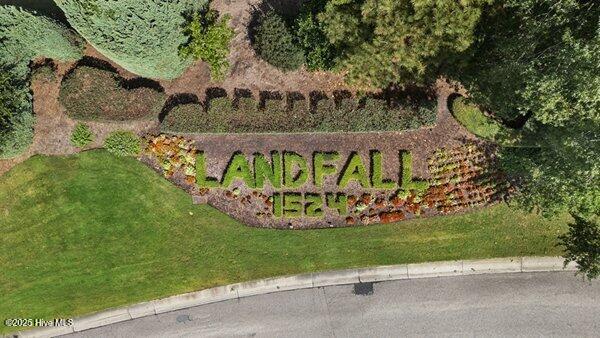 100534265 | Photo 49