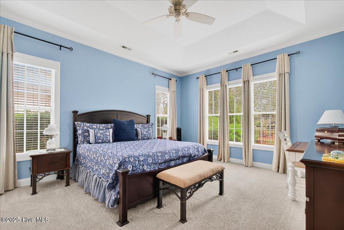 100535406 | Photo 13