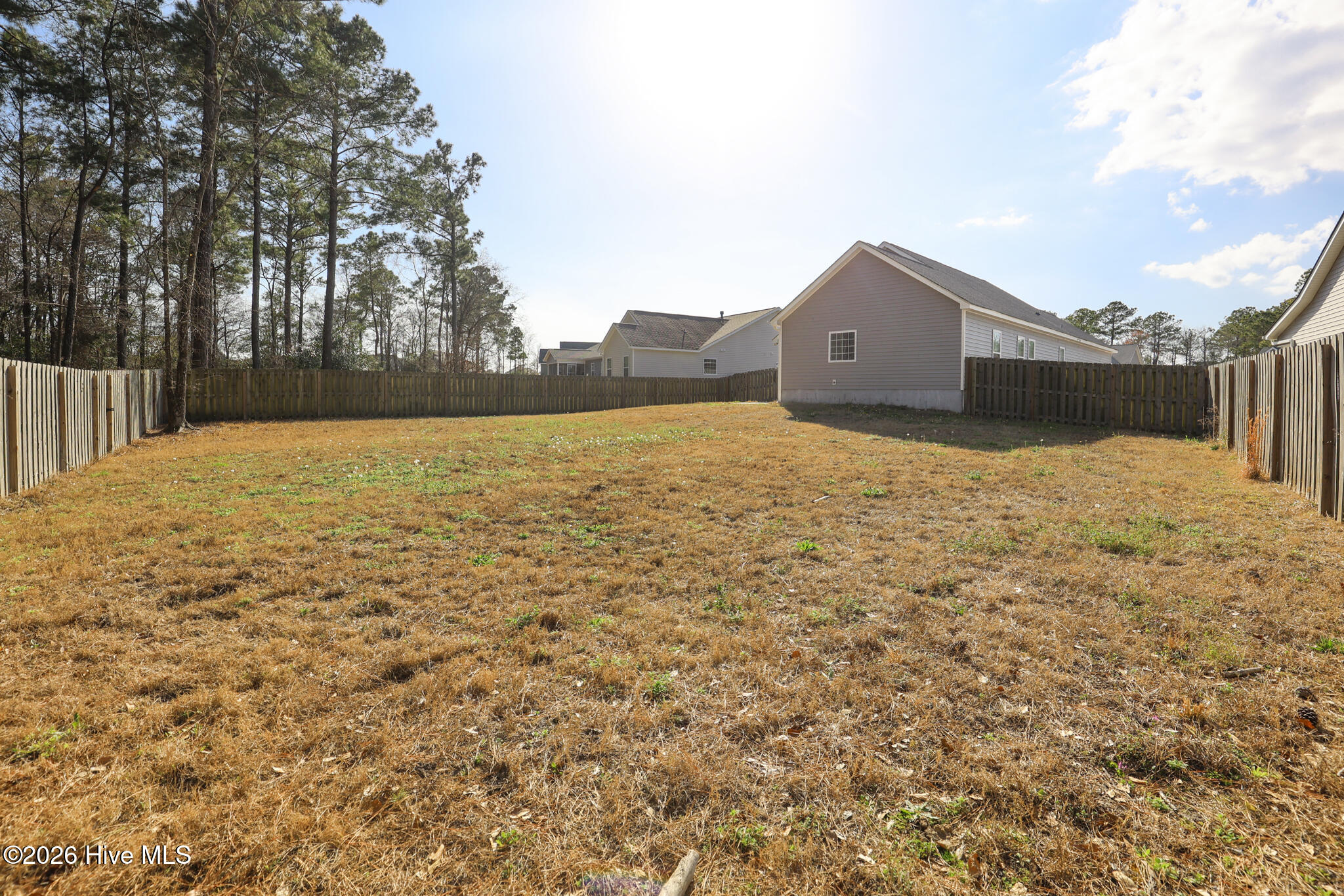 100559393 | Photo 41