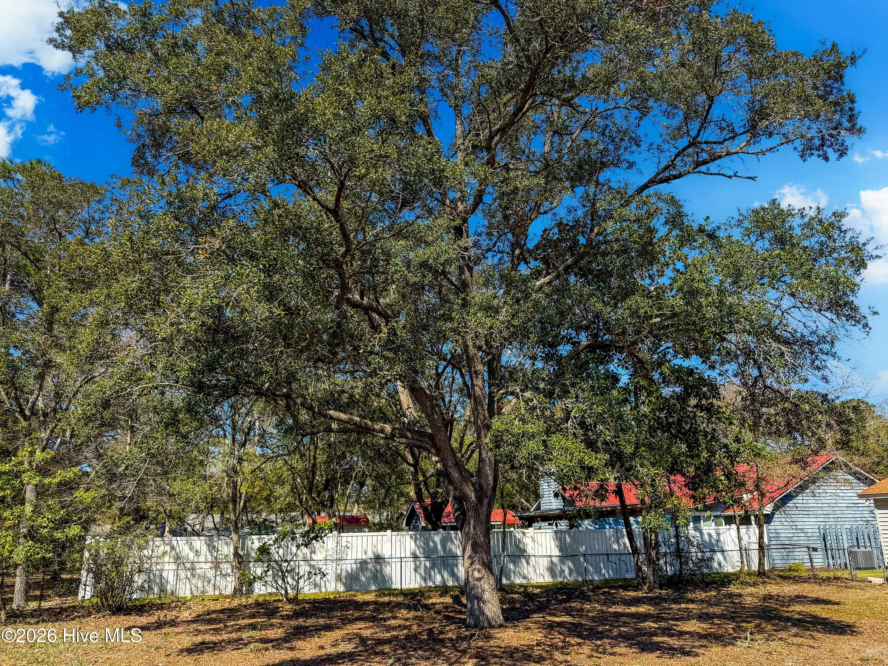 100561616 | Photo 30