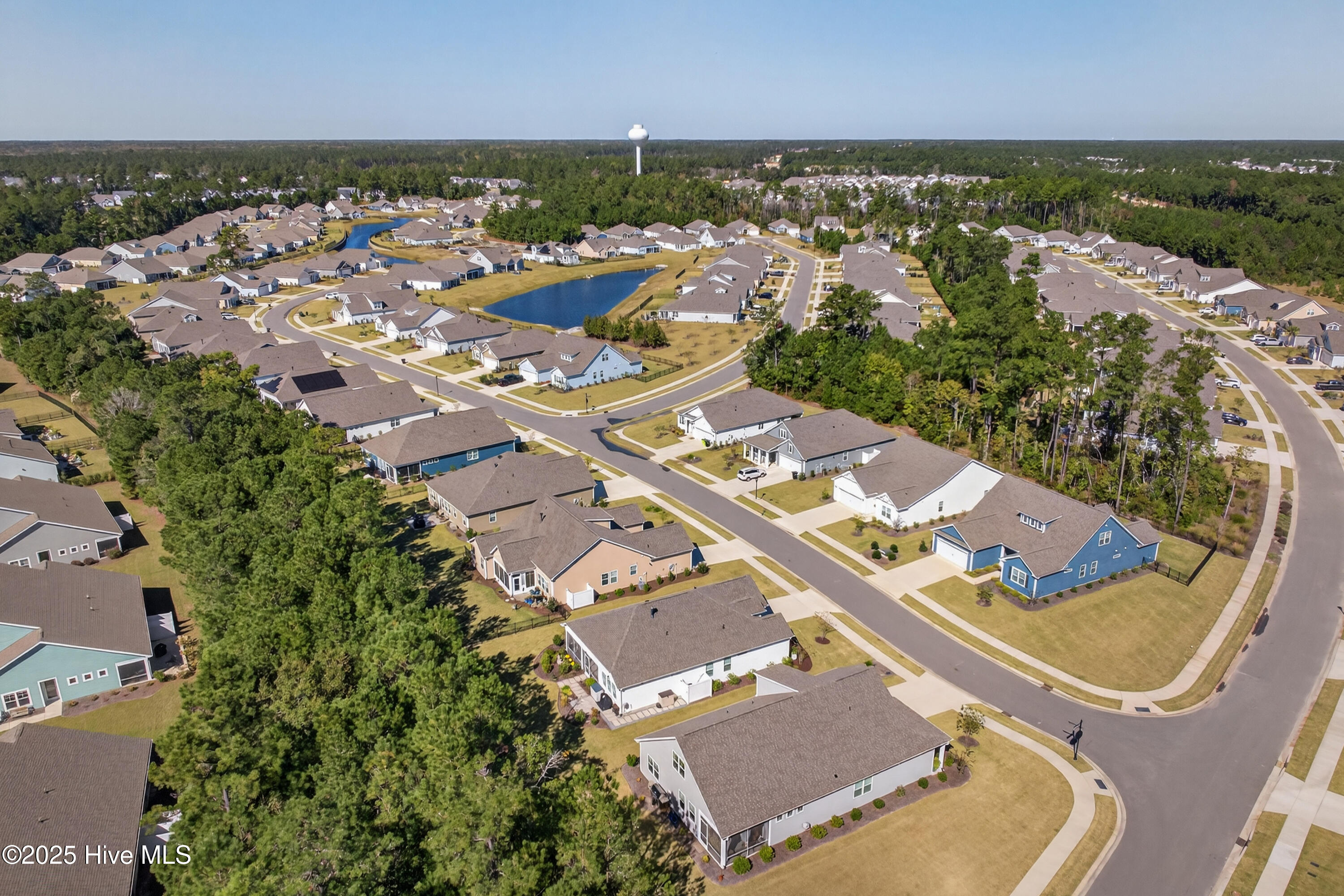 100538241 | Photo 42