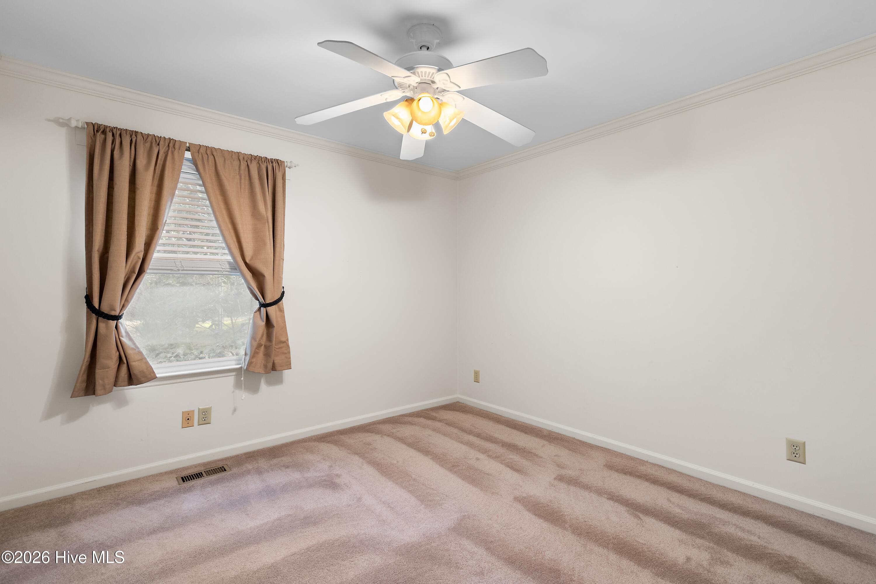 100549008 | Photo 24