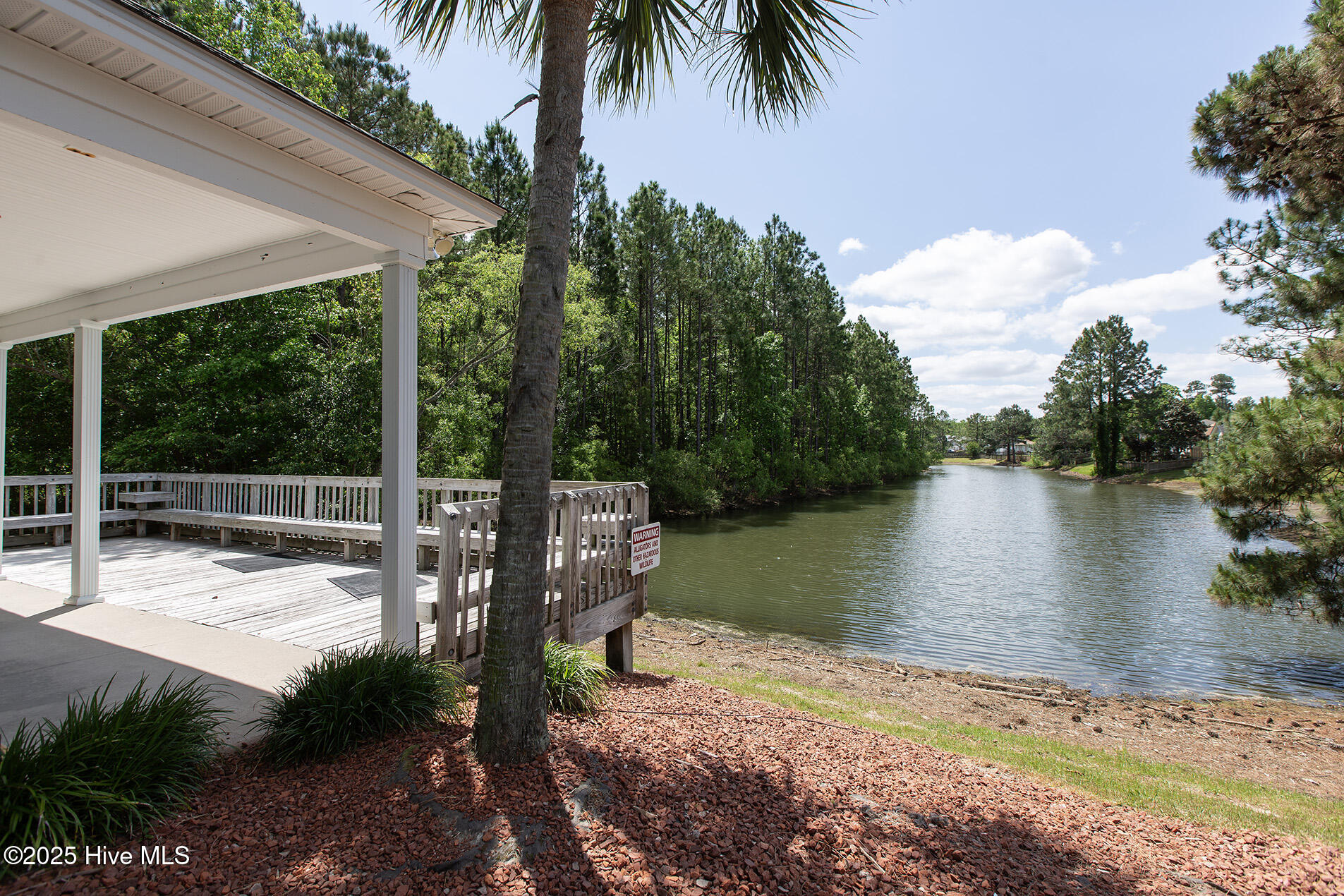 100546860 | Photo 56