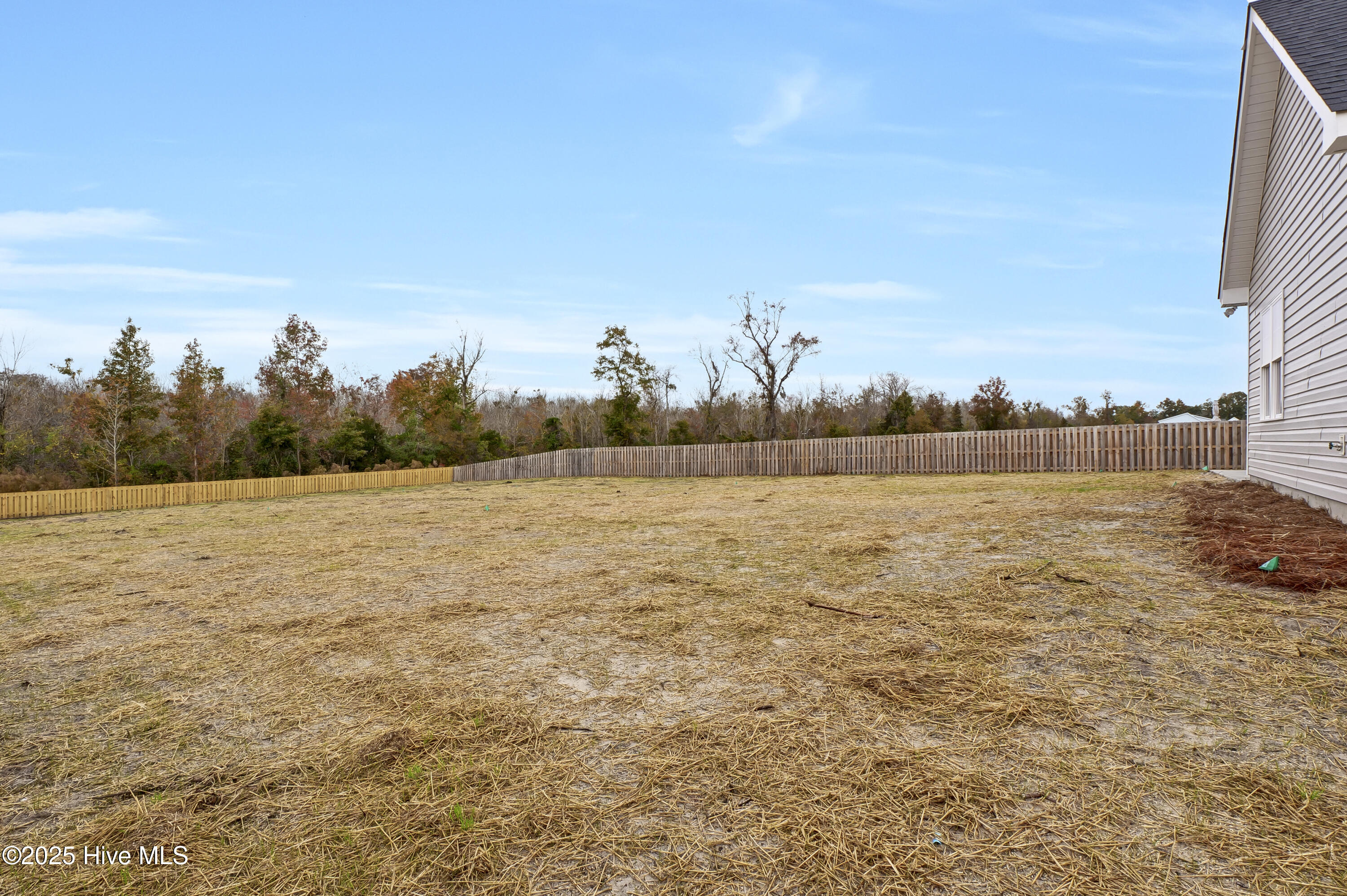 Homes for sale in Burgaw, NC | 11 Peach Blf, Burgaw, NC 28425 | MLS# 100525118