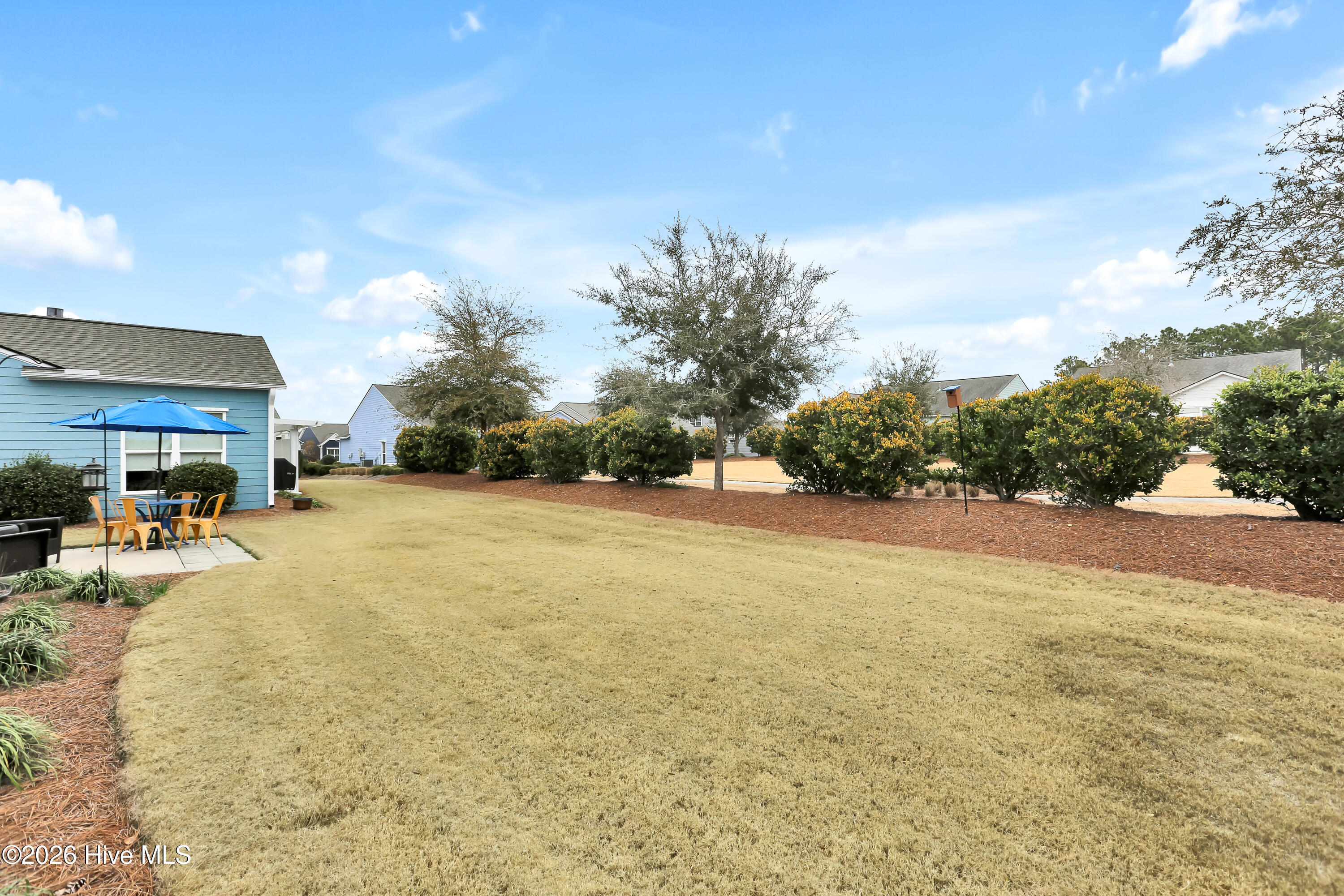 100558115 | Photo 32