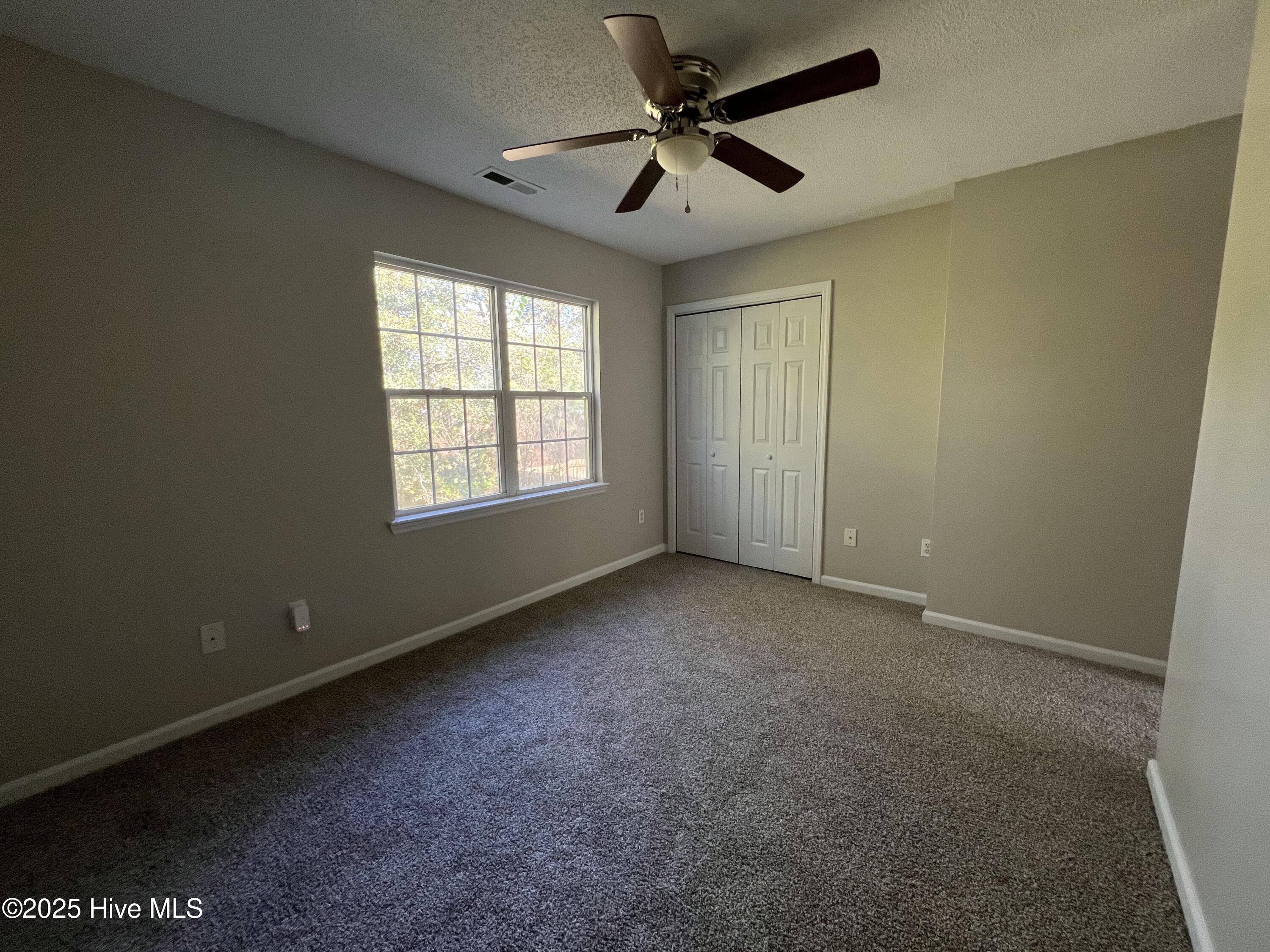 100523068 | Photo 11