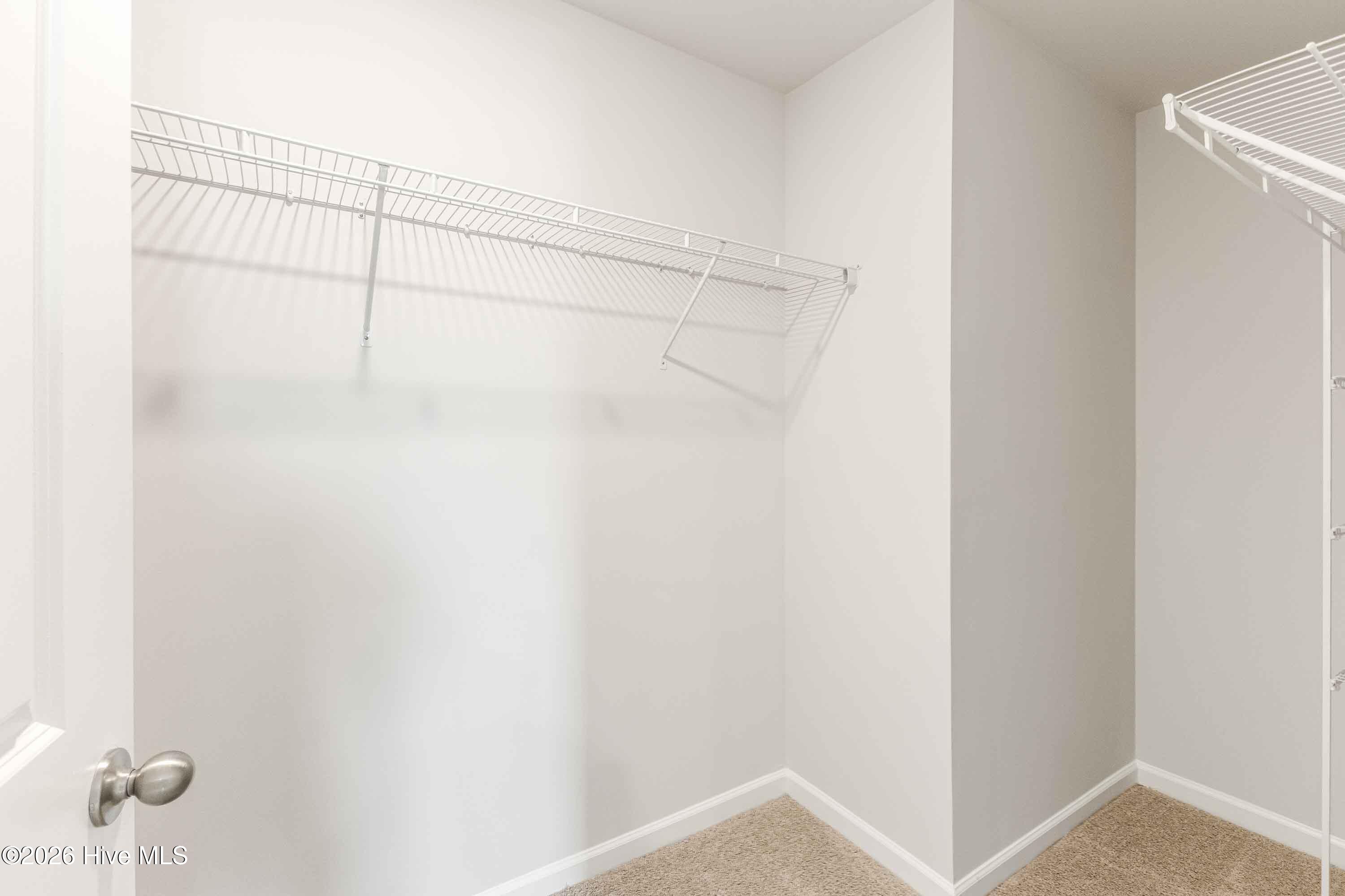 100556870 | Photo 25