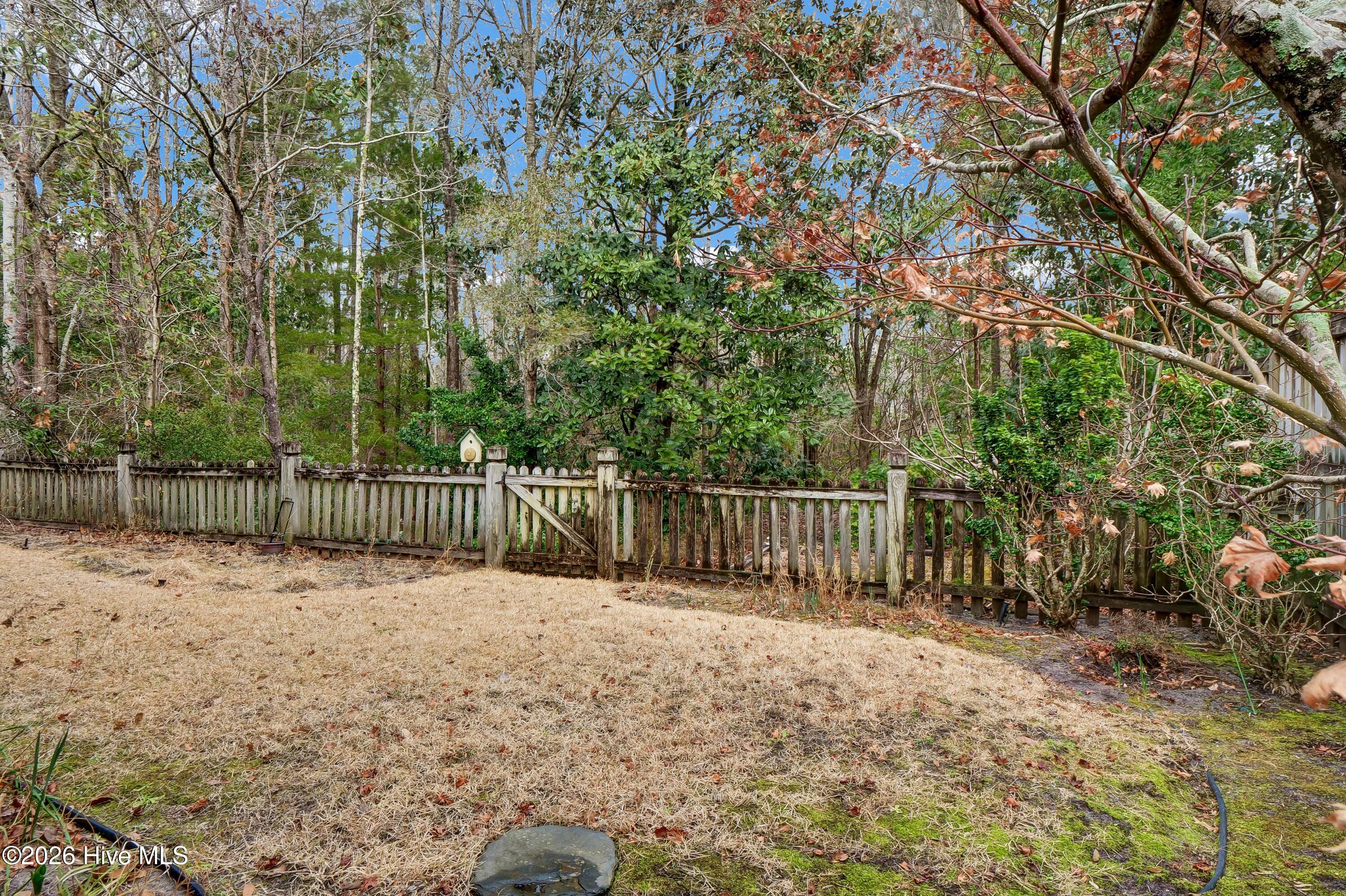 100554854 | Photo 25