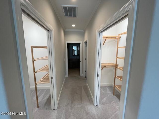 100546789 | Photo 21