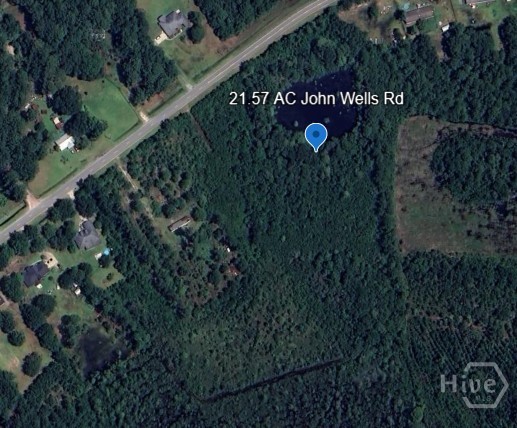 21.57 AC John Wells Road, Hinesville, GA, 31313