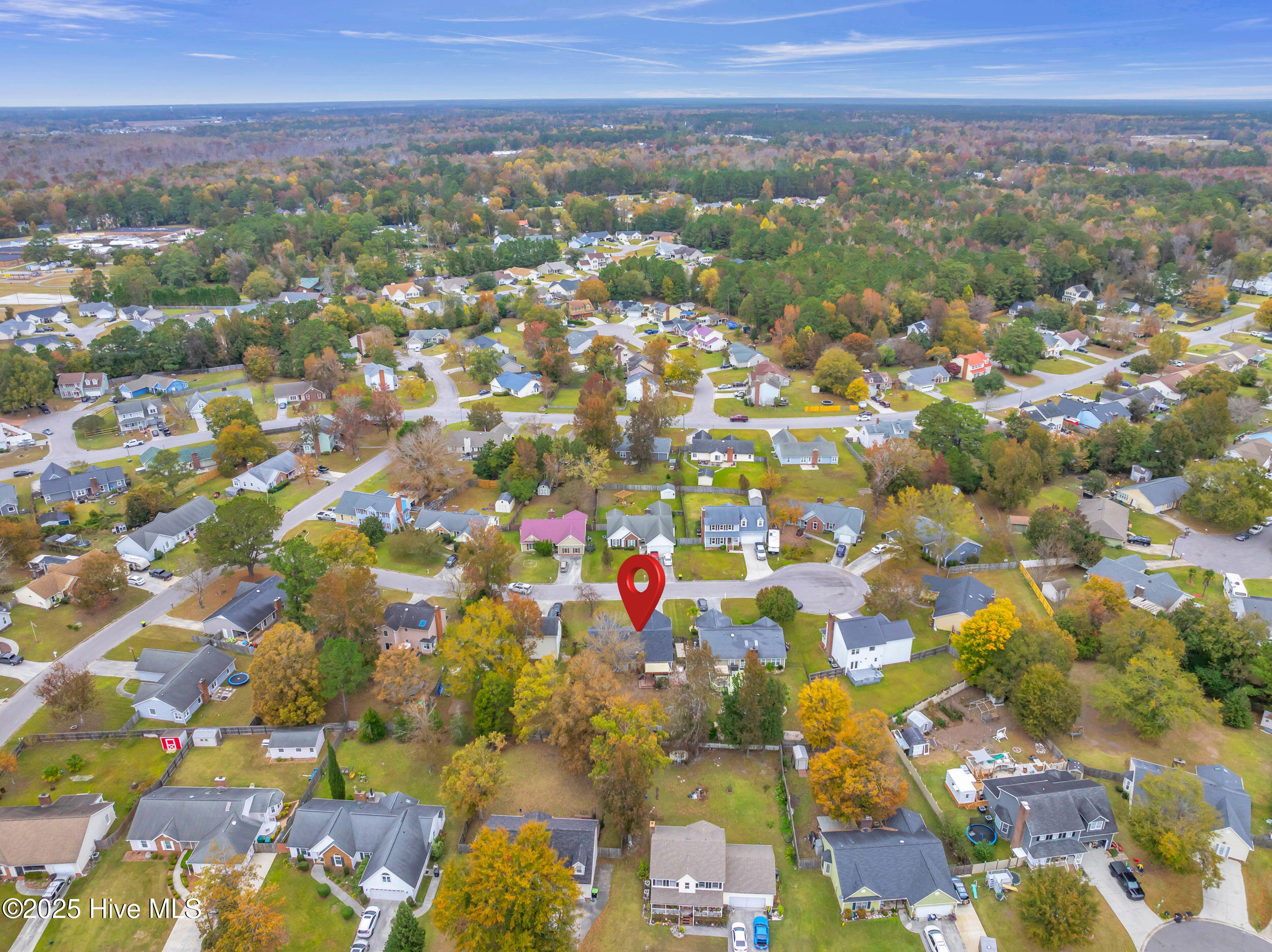 100540534 | Photo 41