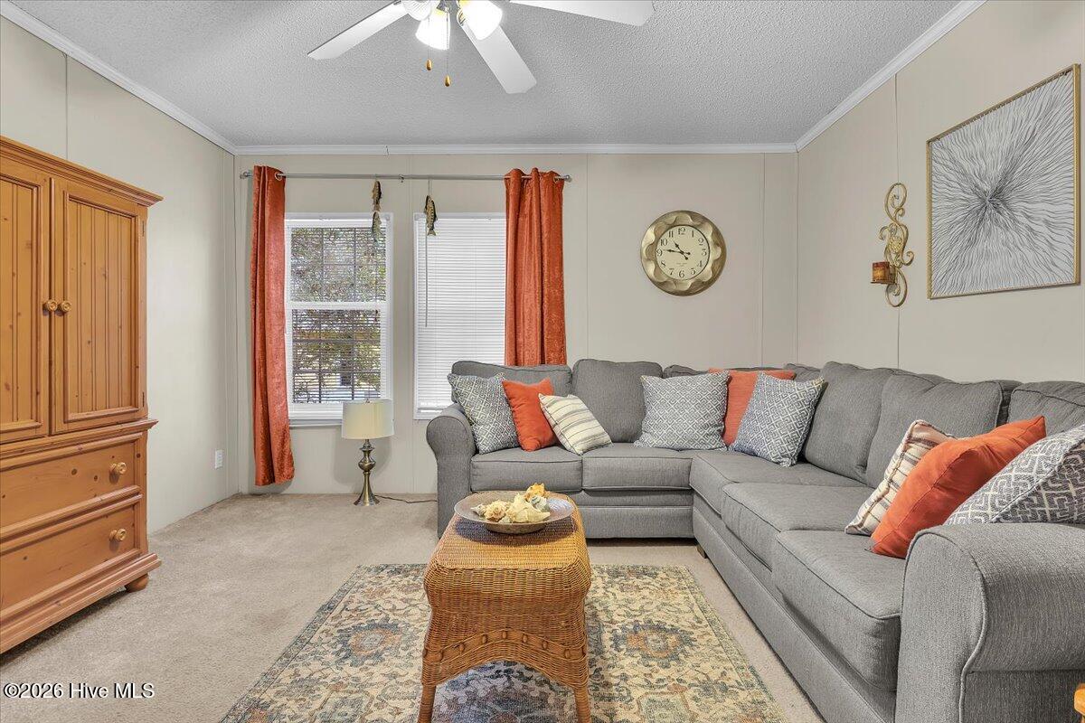 100554513 | Photo 36