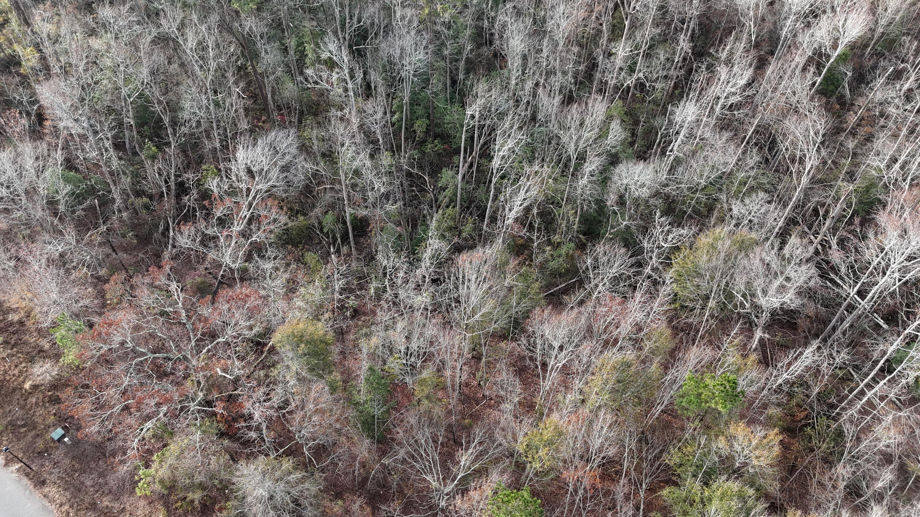 2664 NEW HOPE Circle, Hephzibah, GA, 30815