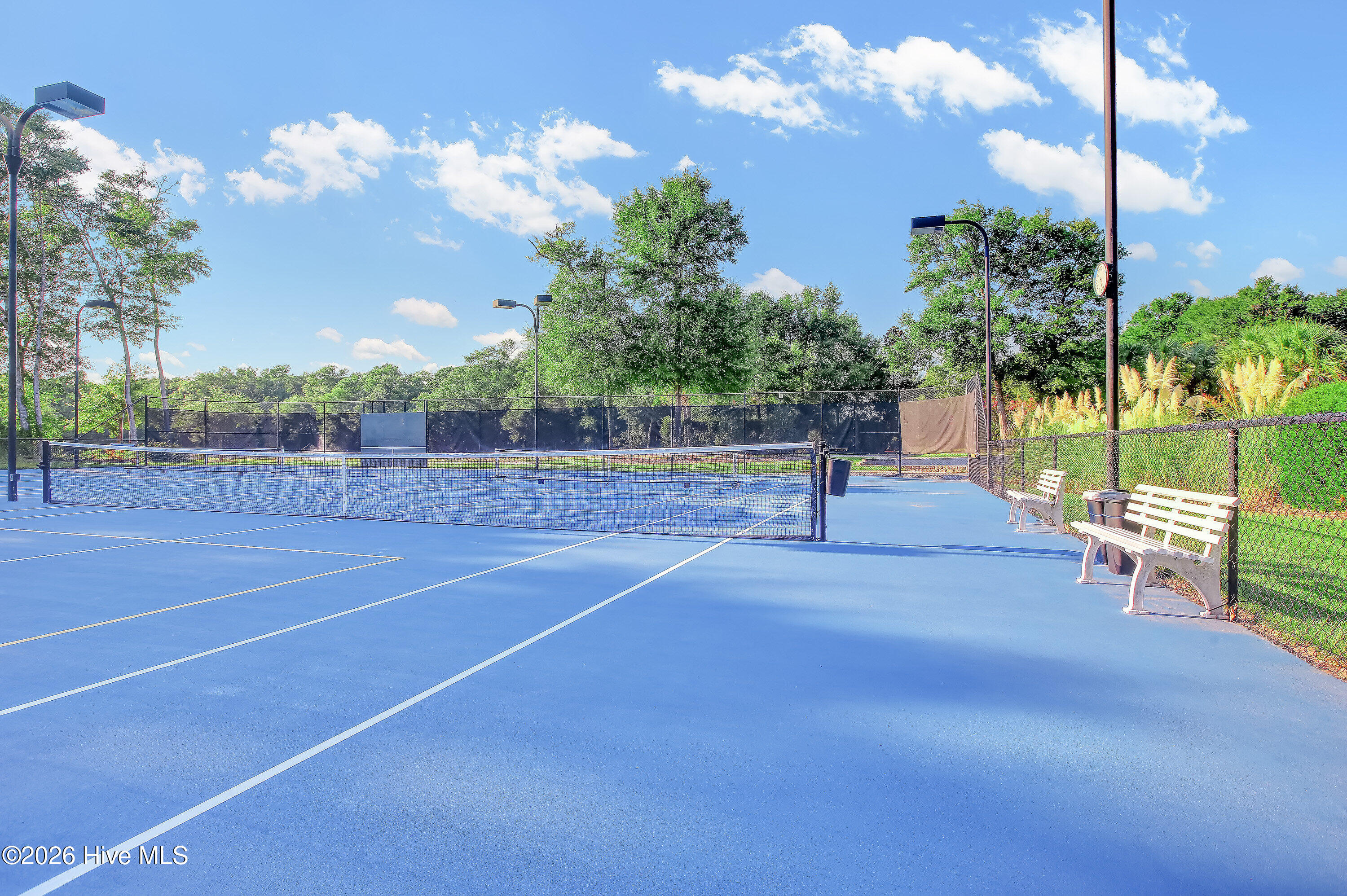 100548749 | Photo 17