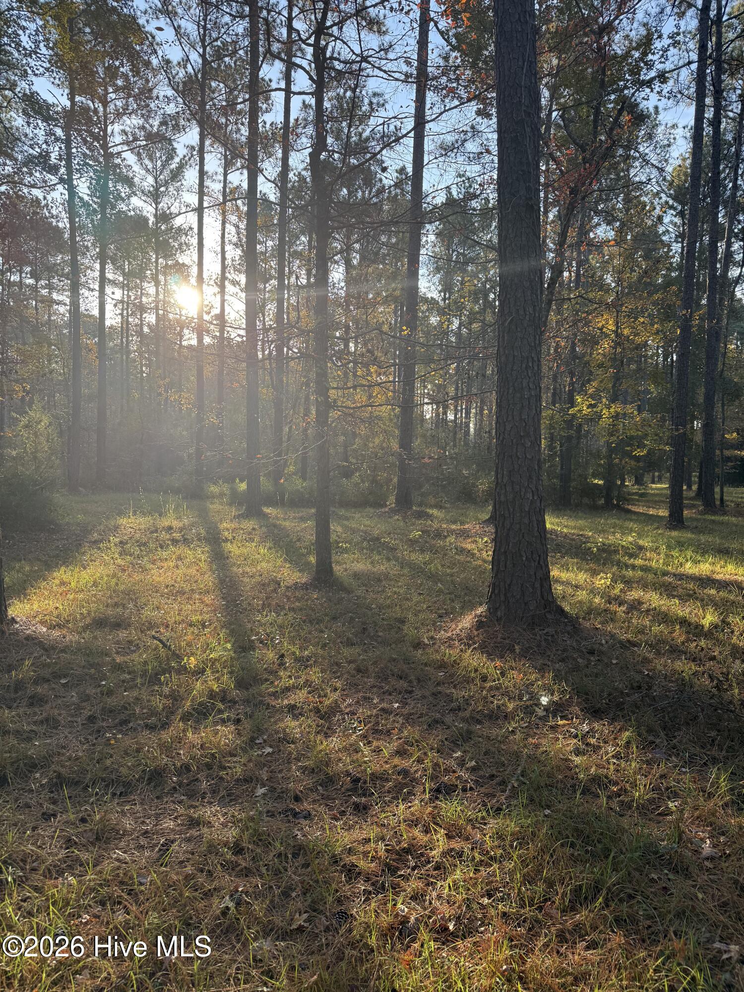 LOT 14 FAIRWAY DRIVE, Mccormick, SC, 29835