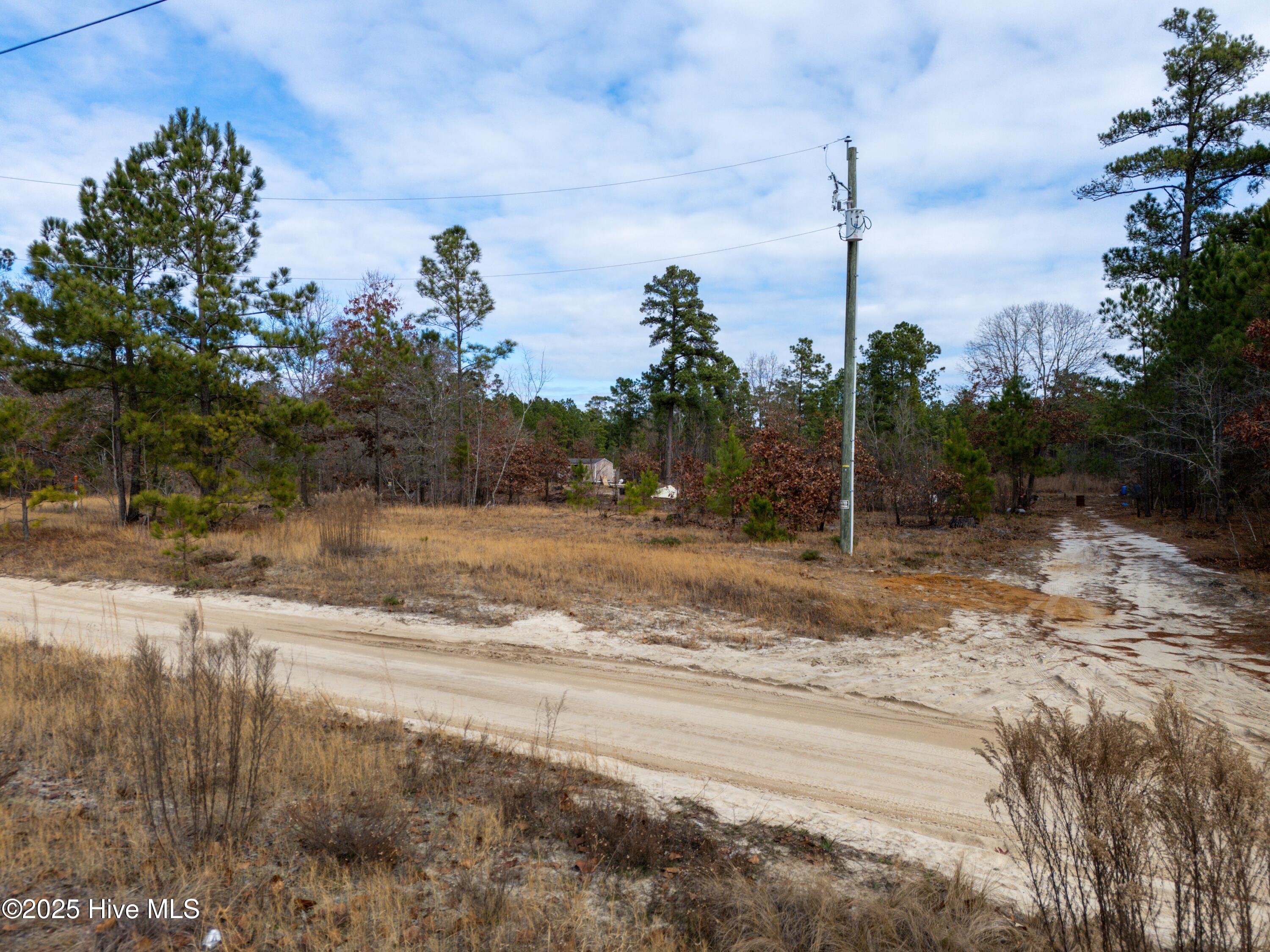 Homes for sale in Hamlet, NC | 342 Ponderosa Dr, Hamlet, NC 28345 | MLS# 100544039
