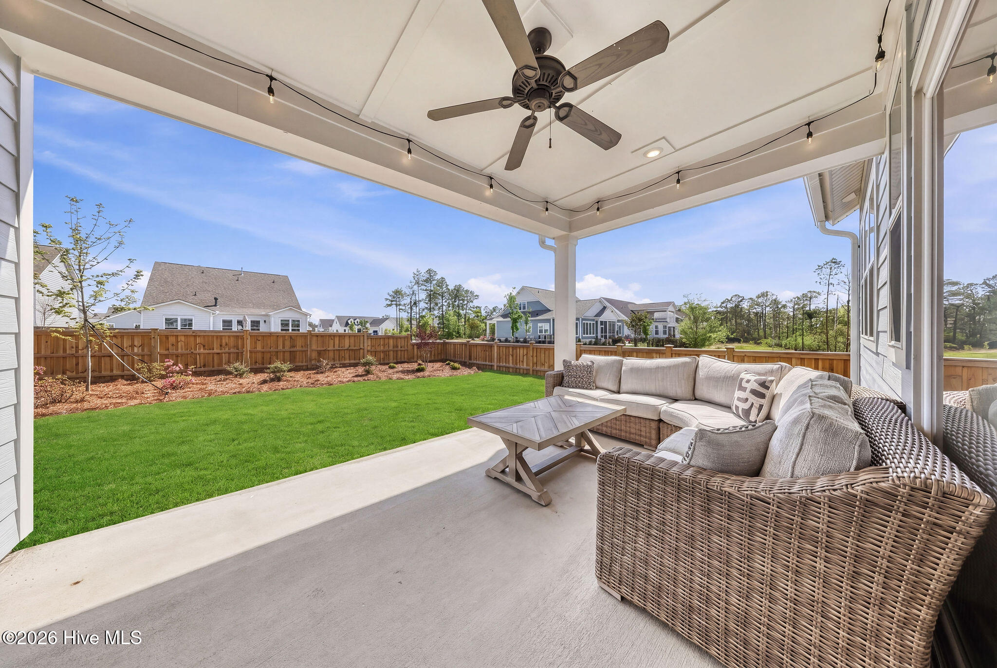 100567924 | Photo 19