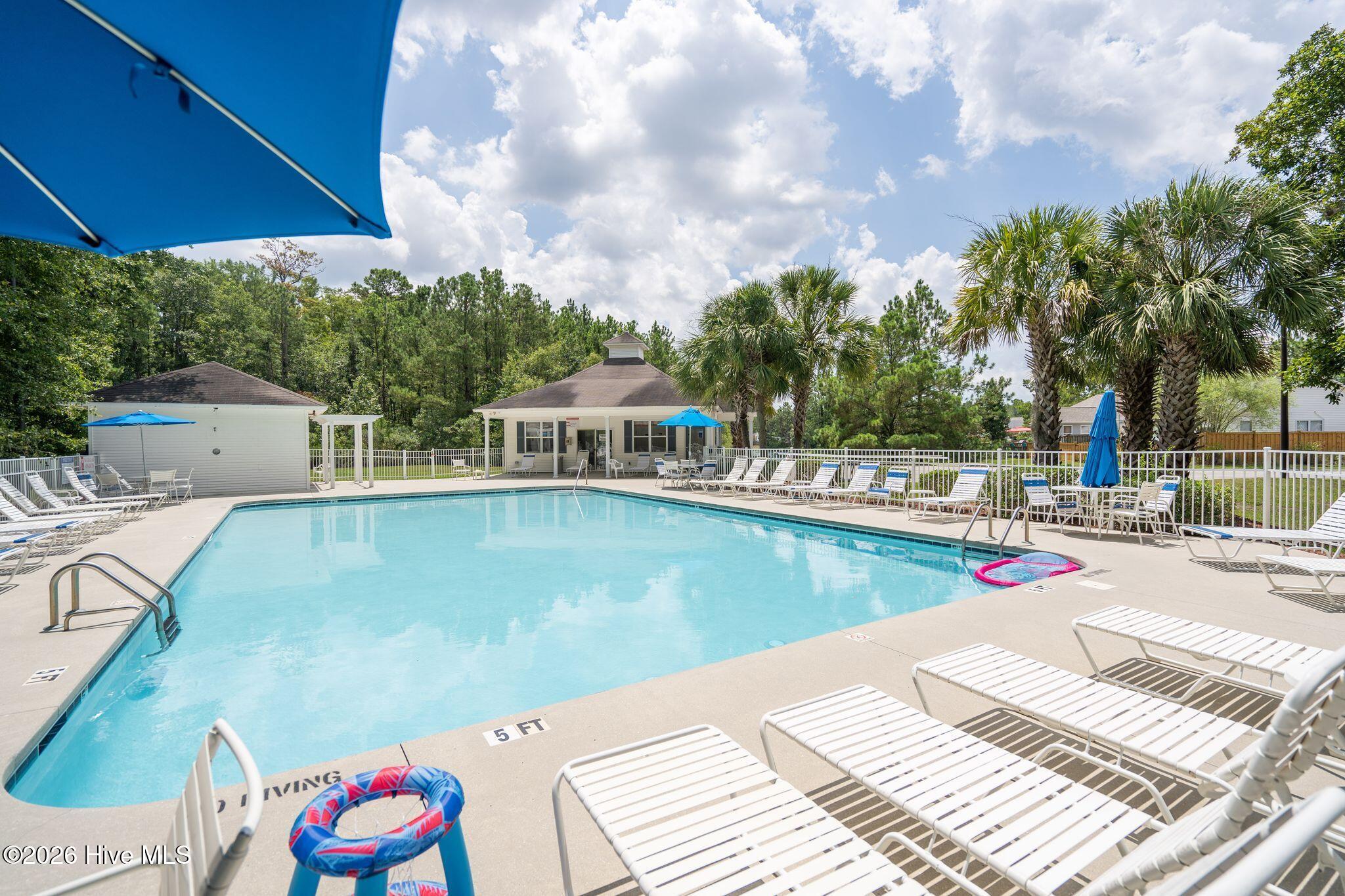 100570513 | Photo 51