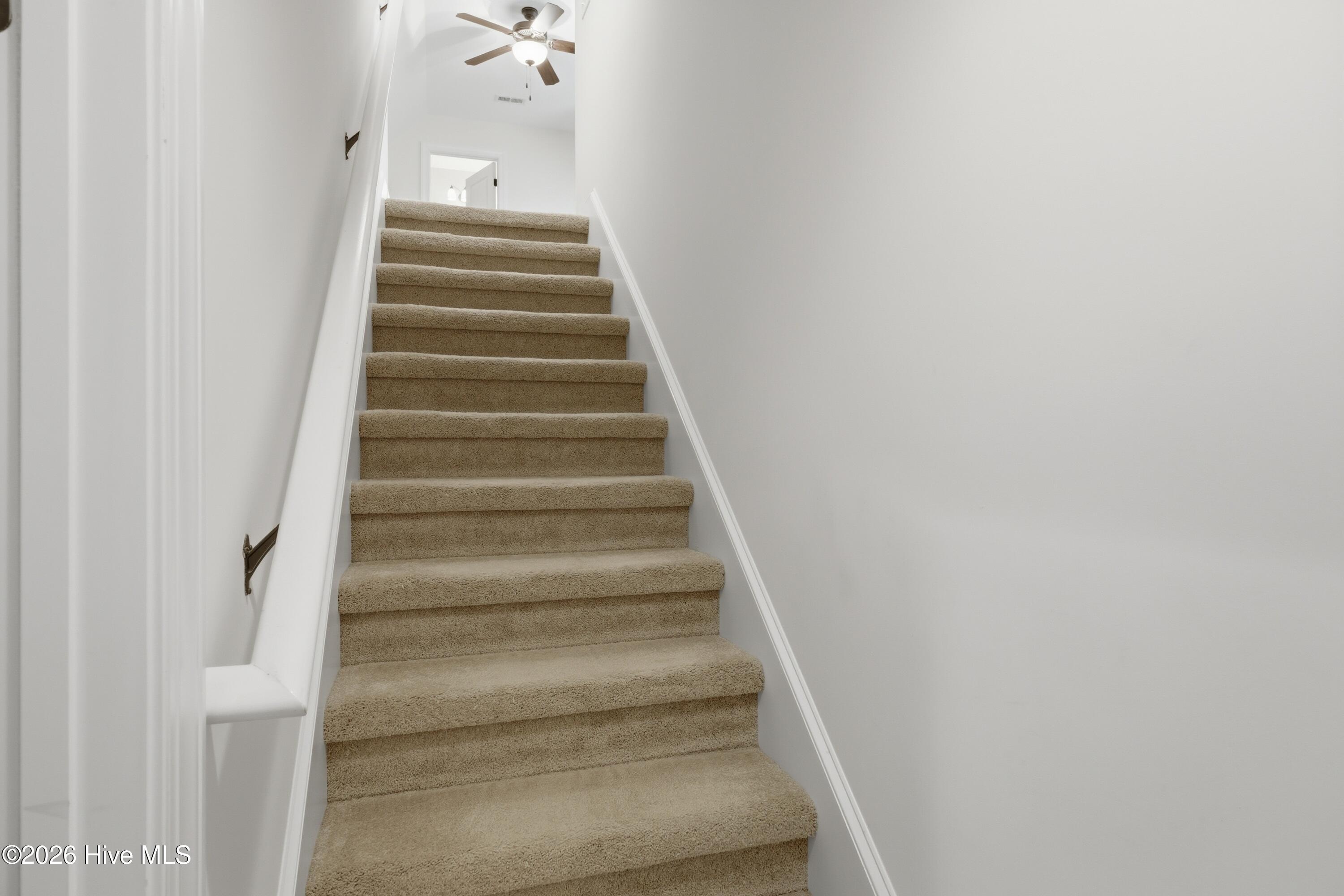 100565162 | Photo 46