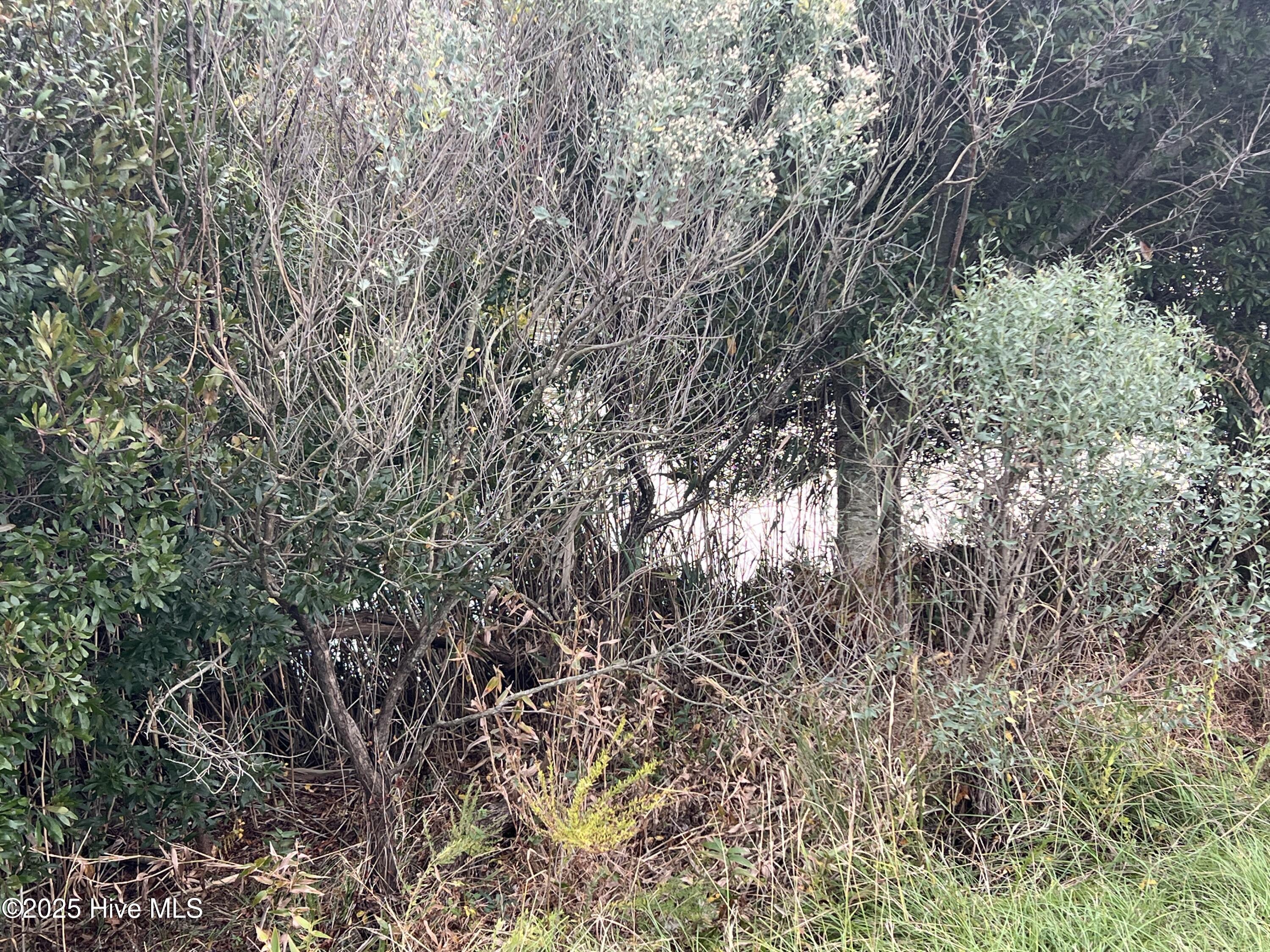 Lot 201 Lot 201 Sandpiper Drive, Hertford, NC, 27944