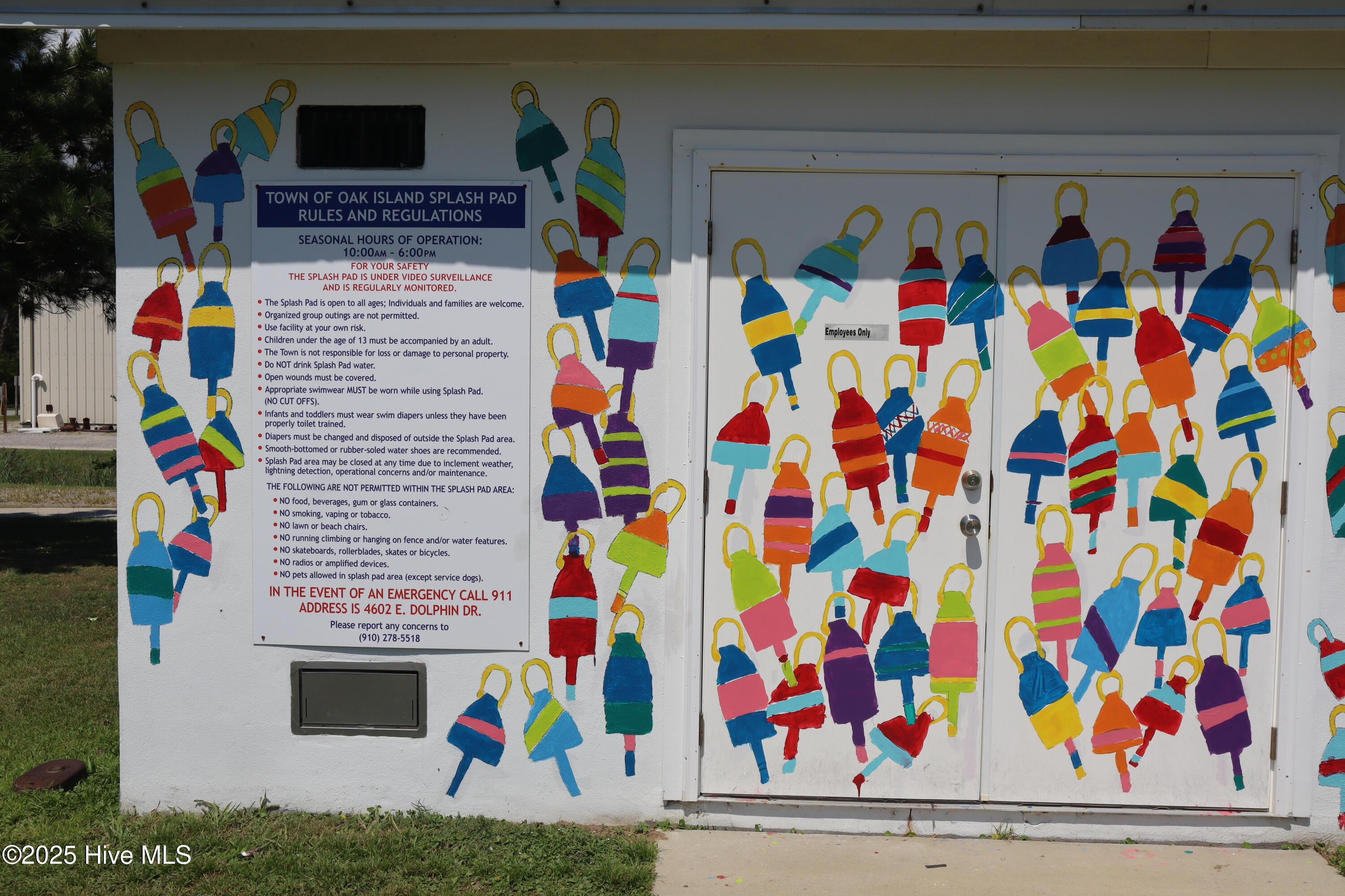 100519753 | Photo 12