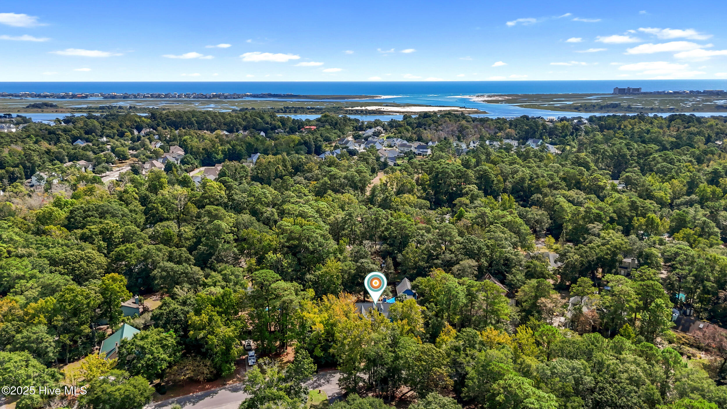 100533907 | Photo 54