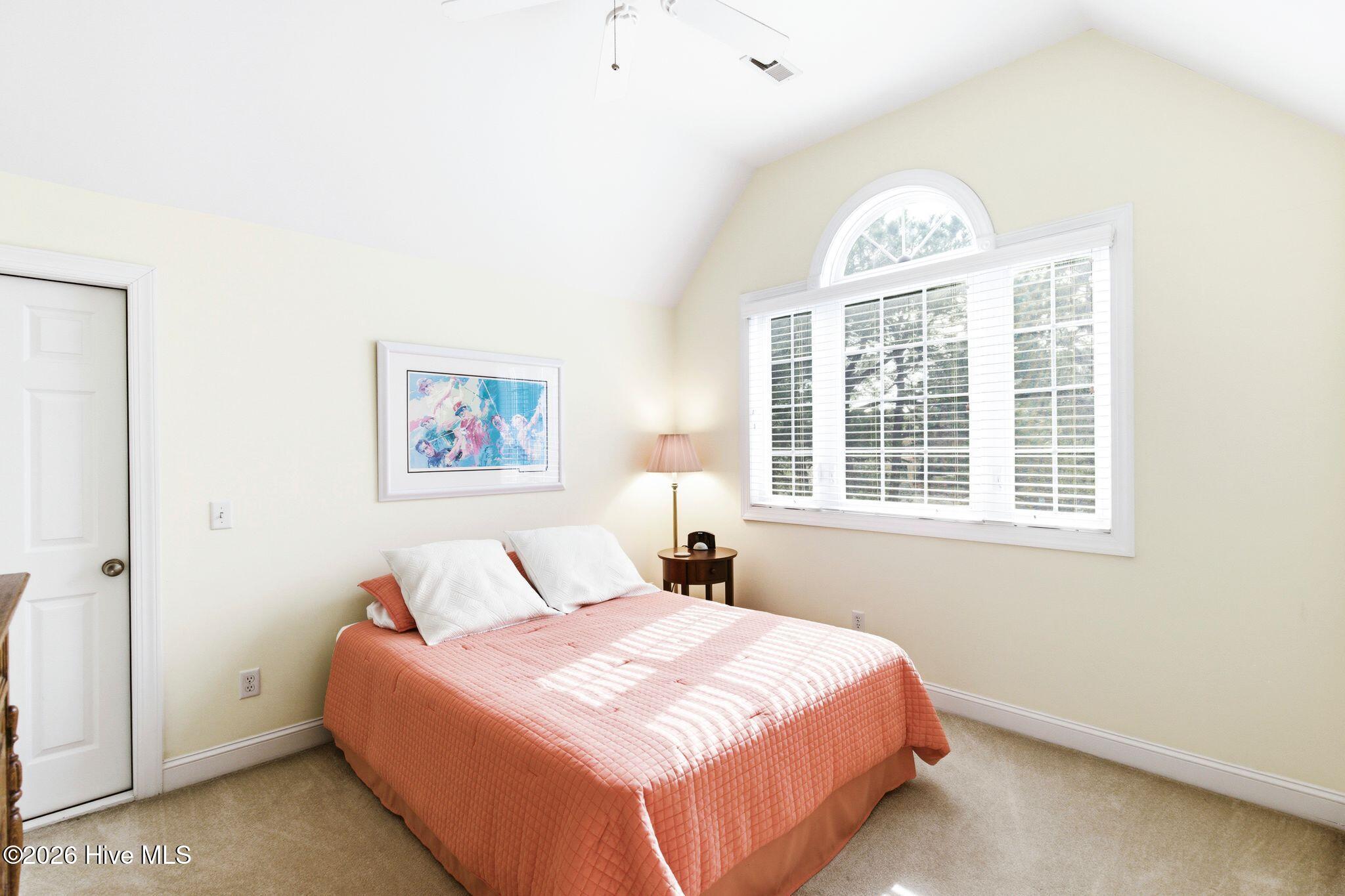 100564231 | Photo 42