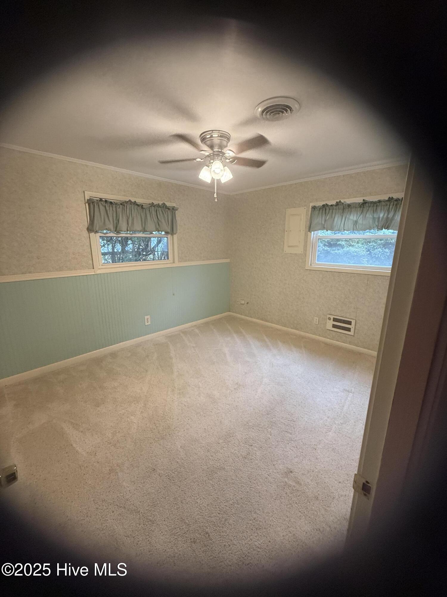 100534449 | Photo 50